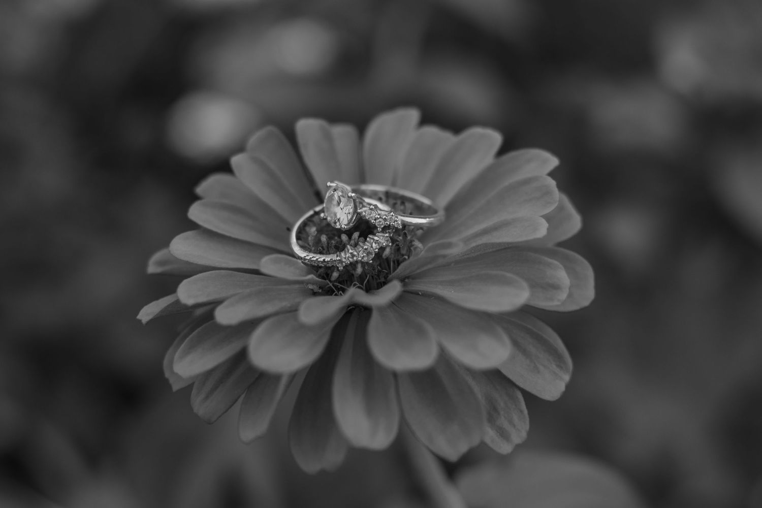 Intimate wedding photographer New England