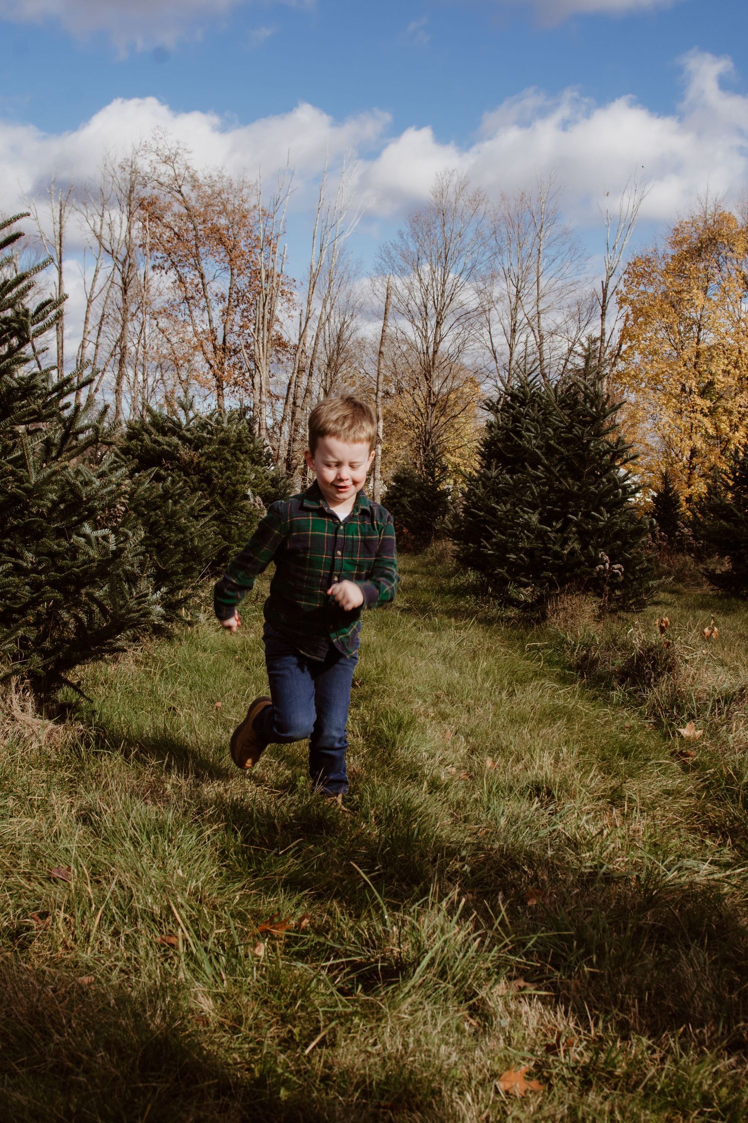 Massachusetts photography services for families, weddings portraits, headshots and pets photography traveling all over new england