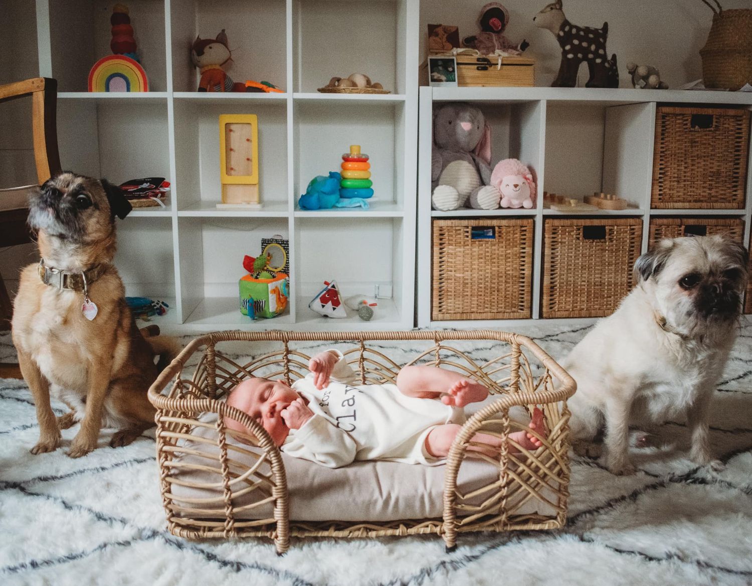 Lifestyle newborn in home photoshoot