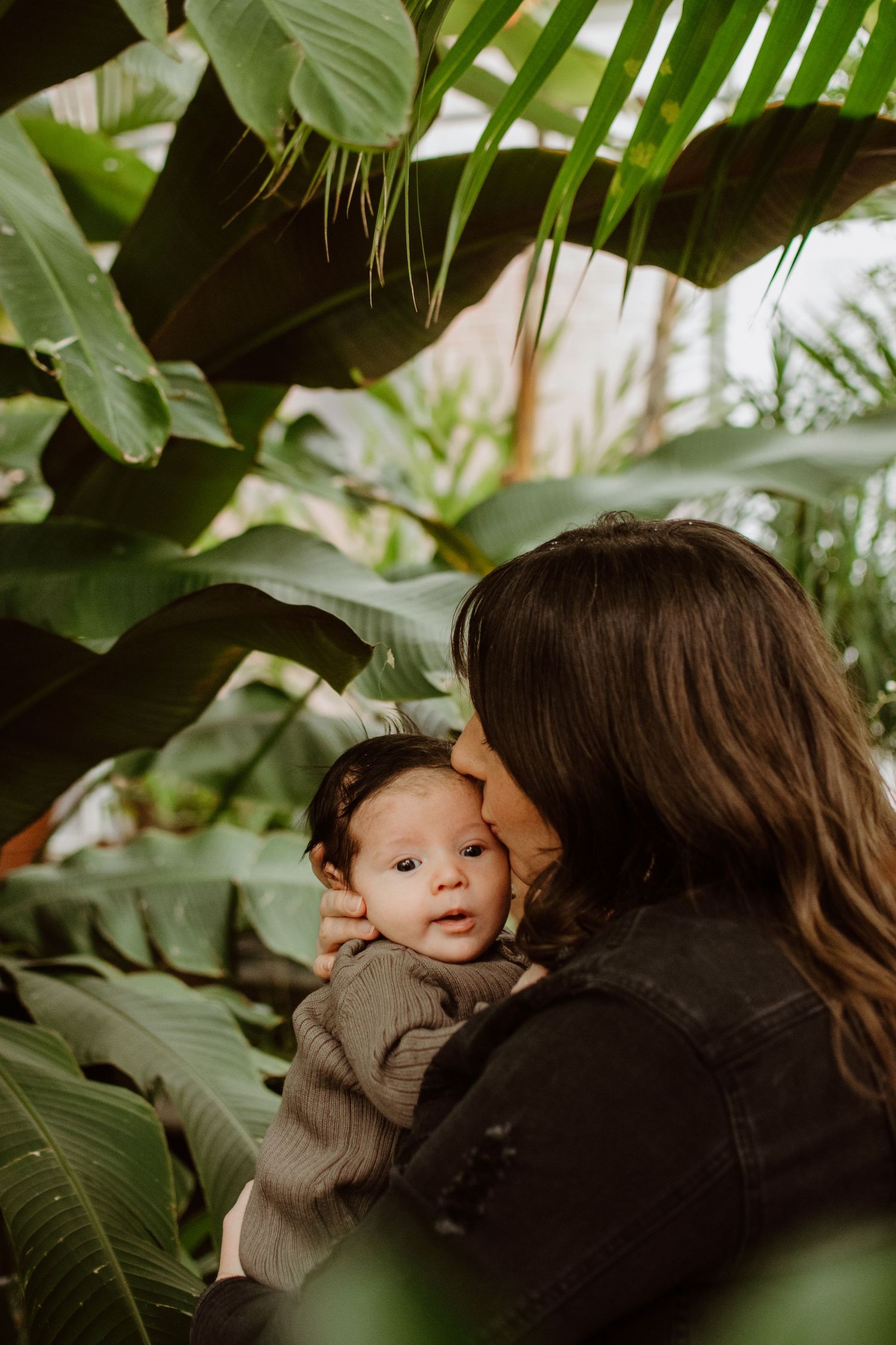 Botanic garden mini sessions based in MA