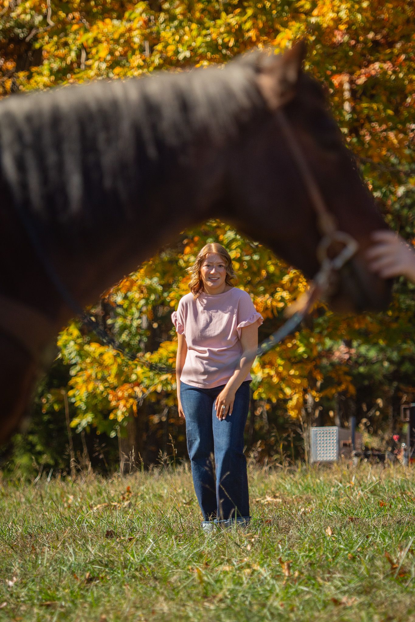 Under-horse (dog)
@addykayphotography 2025.