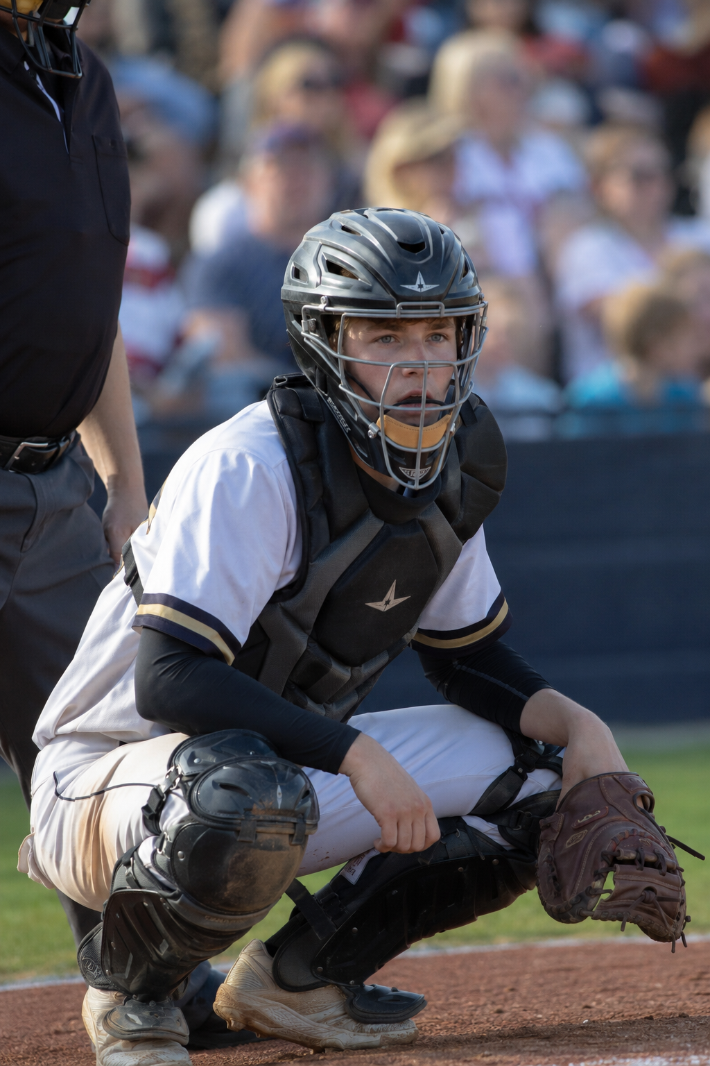 Baseball catcher in full gear crouches in ready position during a game before a packed crowd.