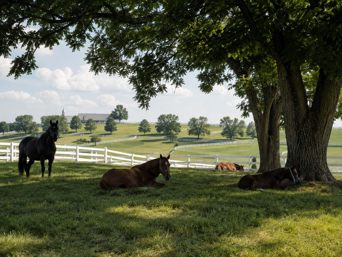 Horses resting under a large shade tree in a lush green pasture with white fencing on a sunny day.