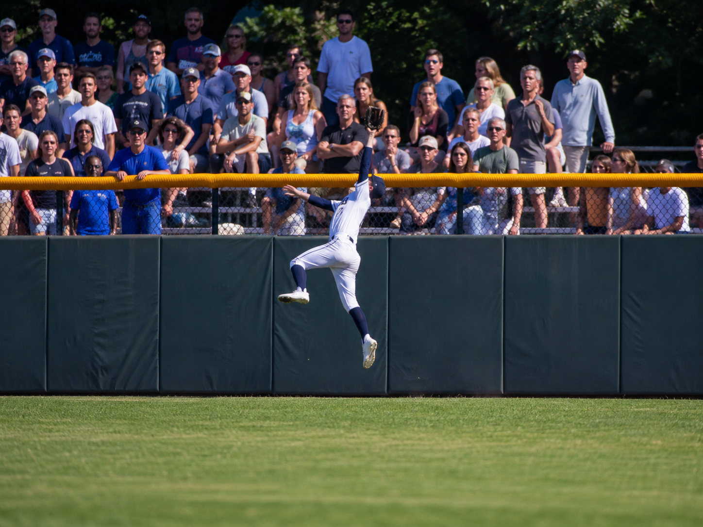 Baseball outfielder makes a spectacular diving catch near the outfield wall in front of a packed crowd.