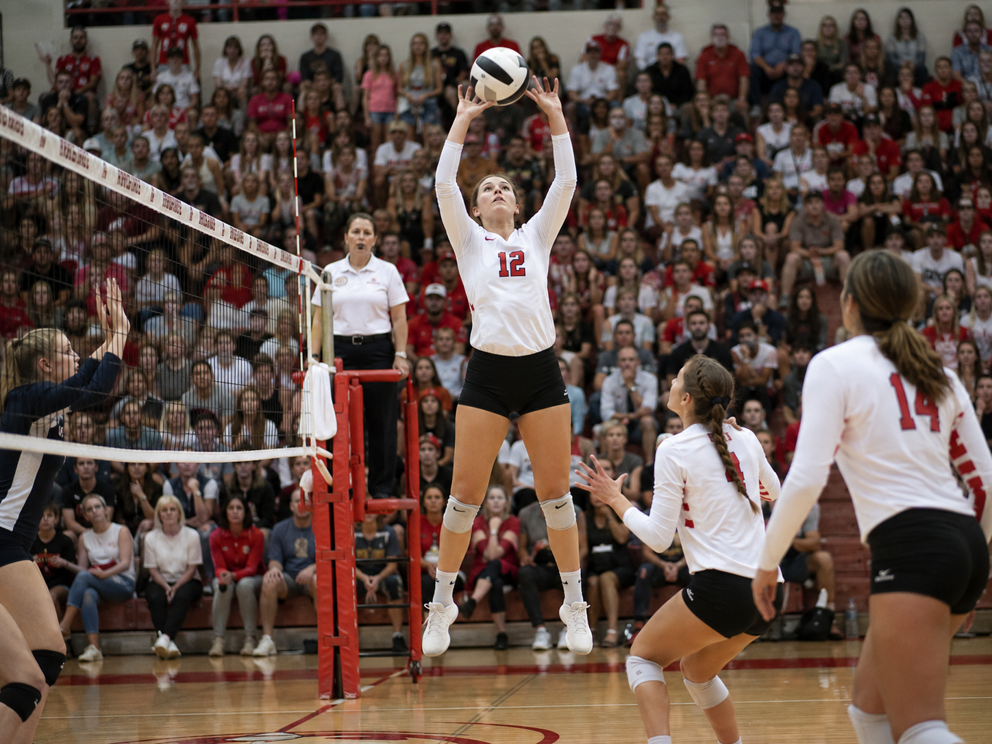 Volleyball player number 12 sets ball during packed high school gymnasium match.