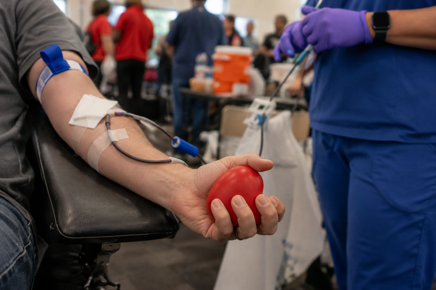 Person donating blood in a chair, squeezing a red stress ball while a nurse in blue scrubs prepares equipment.