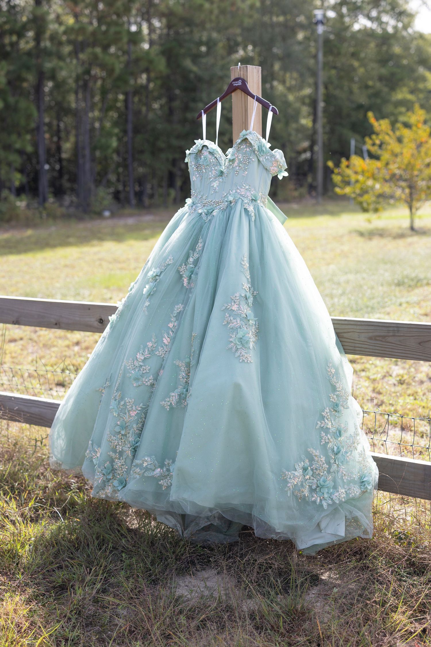 Elegant light blue tulle flower girl dress with delicate floral appliques photographed in an outdoor natural setting.