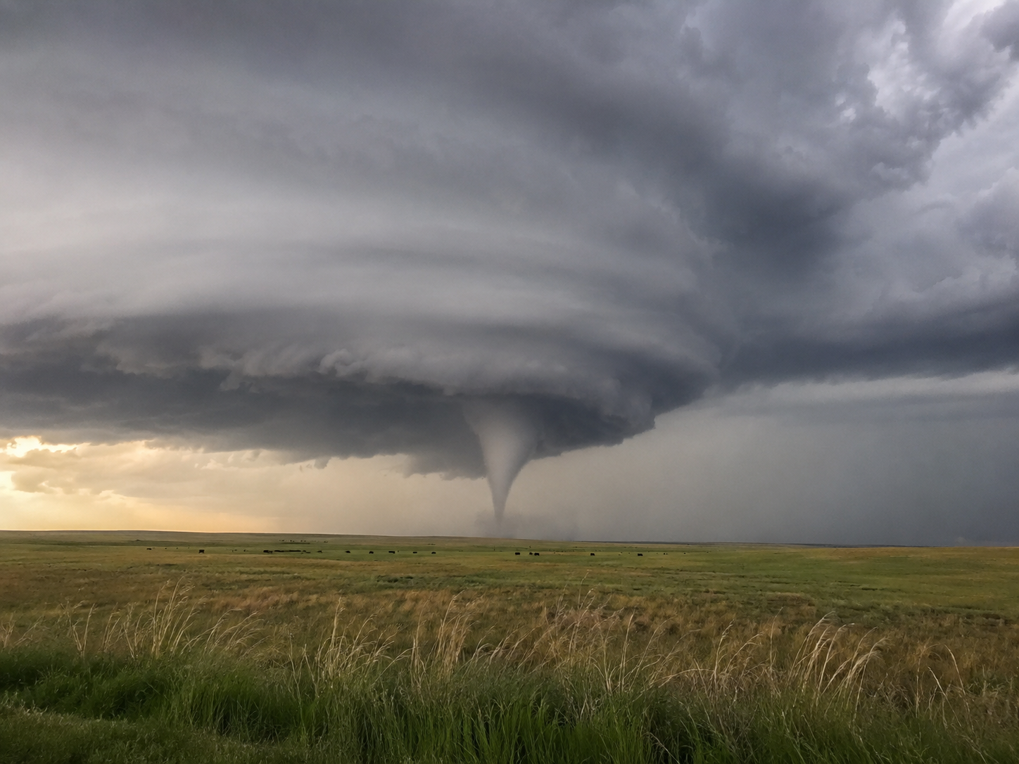 A massive tornado touches down over a vast green prairie under dramatic swirling storm clouds at sunset.