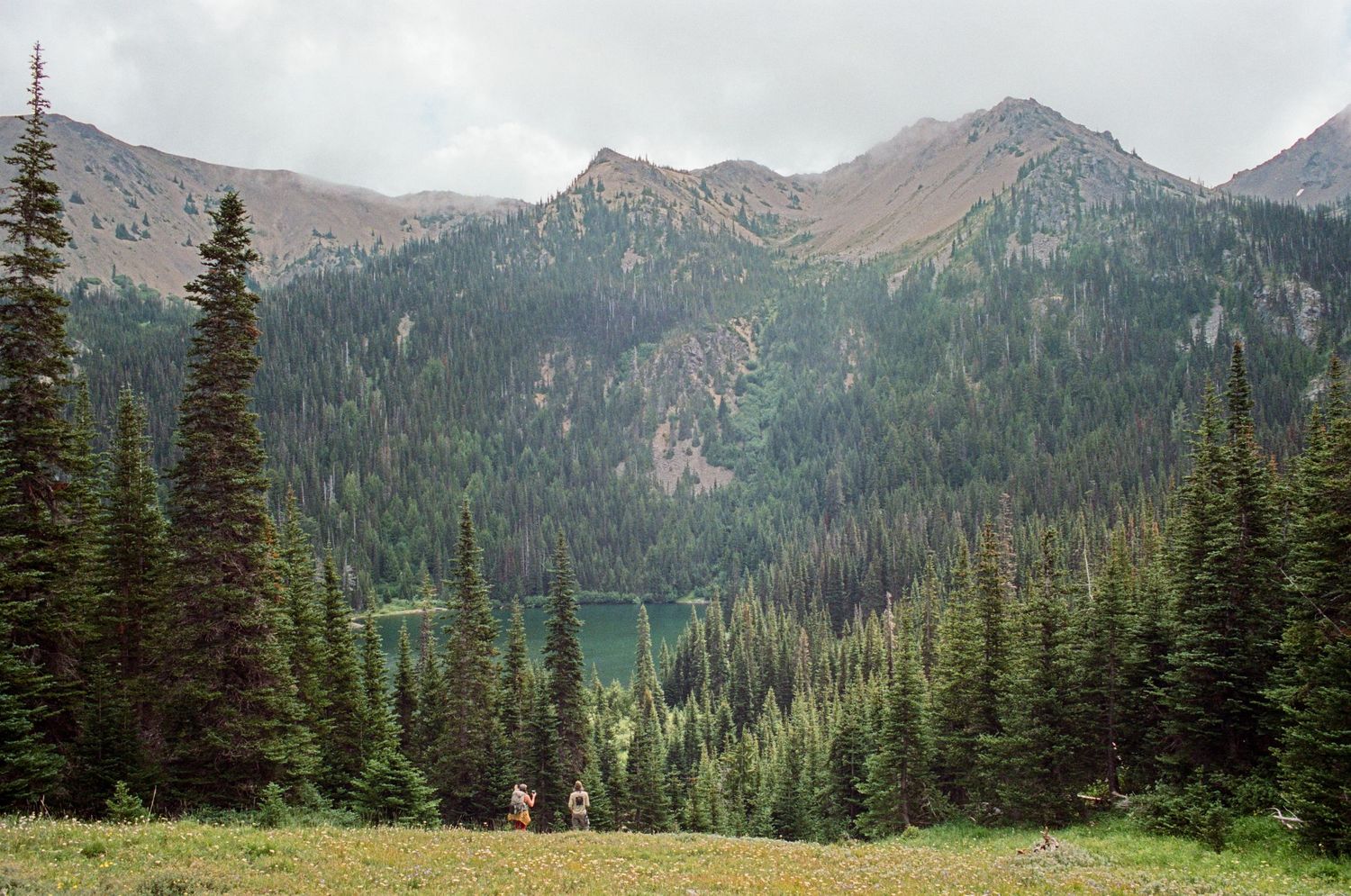 Panoramic mountain landscape with evergreen forests and dramatic rocky peaks in the distance.