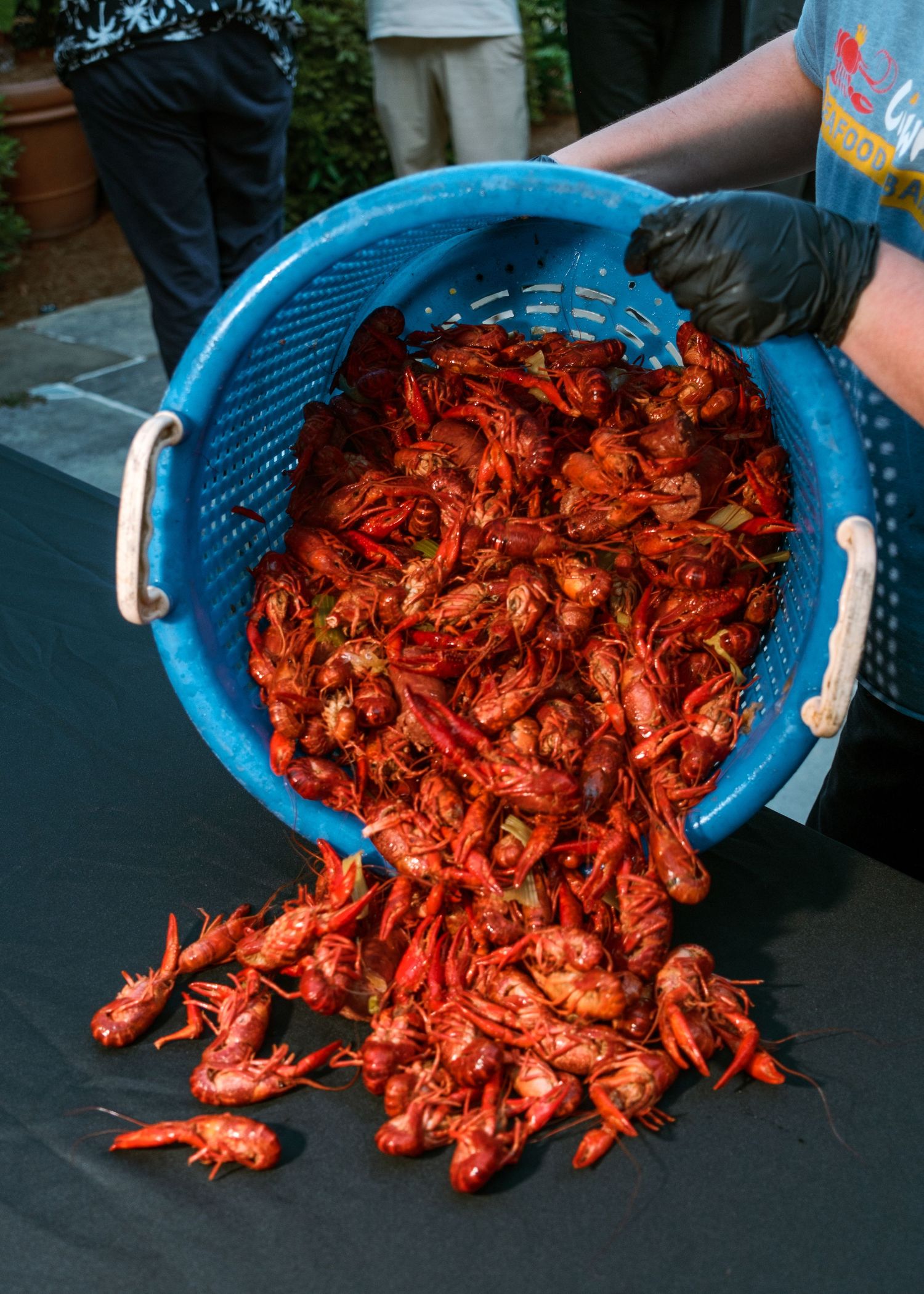 Fresh cooked crawfish spilling out of a blue colander onto a dark surface.