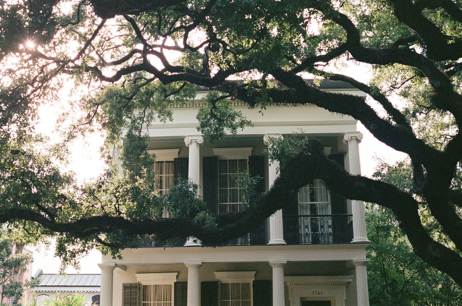 Southern mansion with white columns and large oak trees framing the entrance.