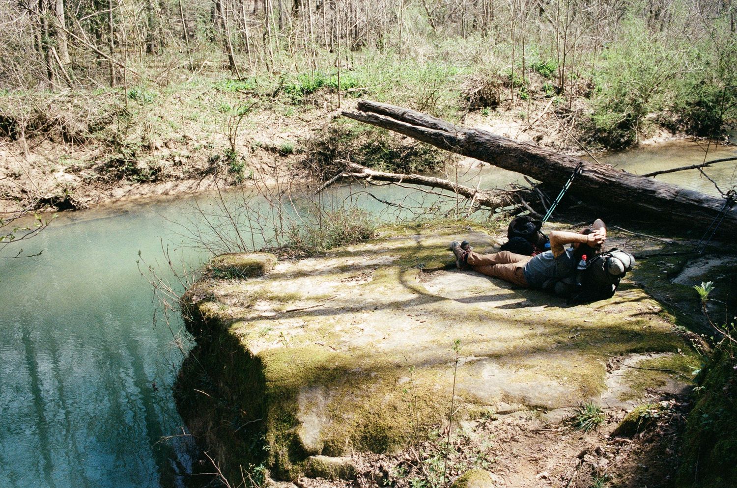 Natural creek bed with fallen logs and rocks surrounded by vegetation.