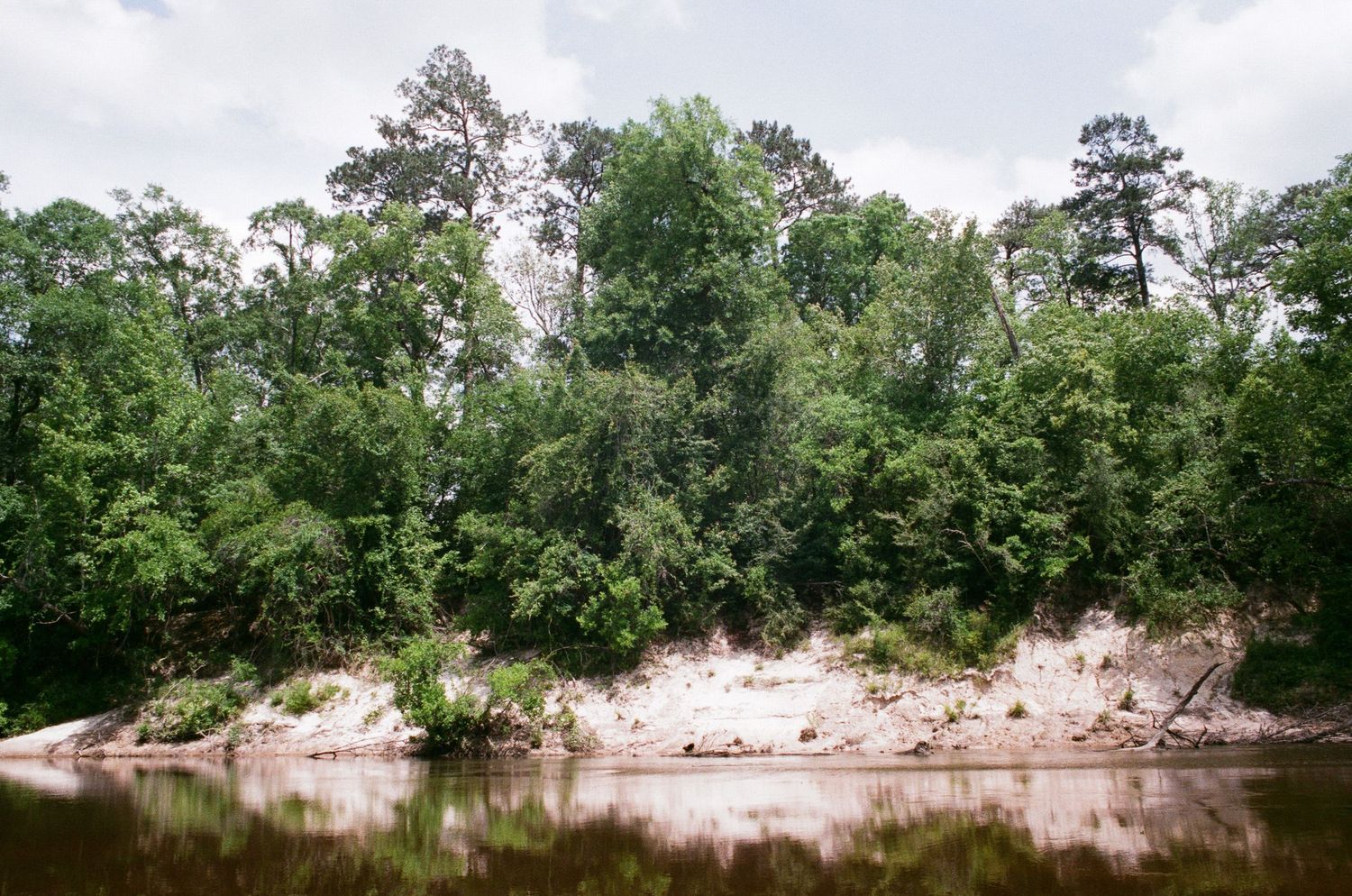 Panoramic view of a winding river bank surrounded by lush green trees.