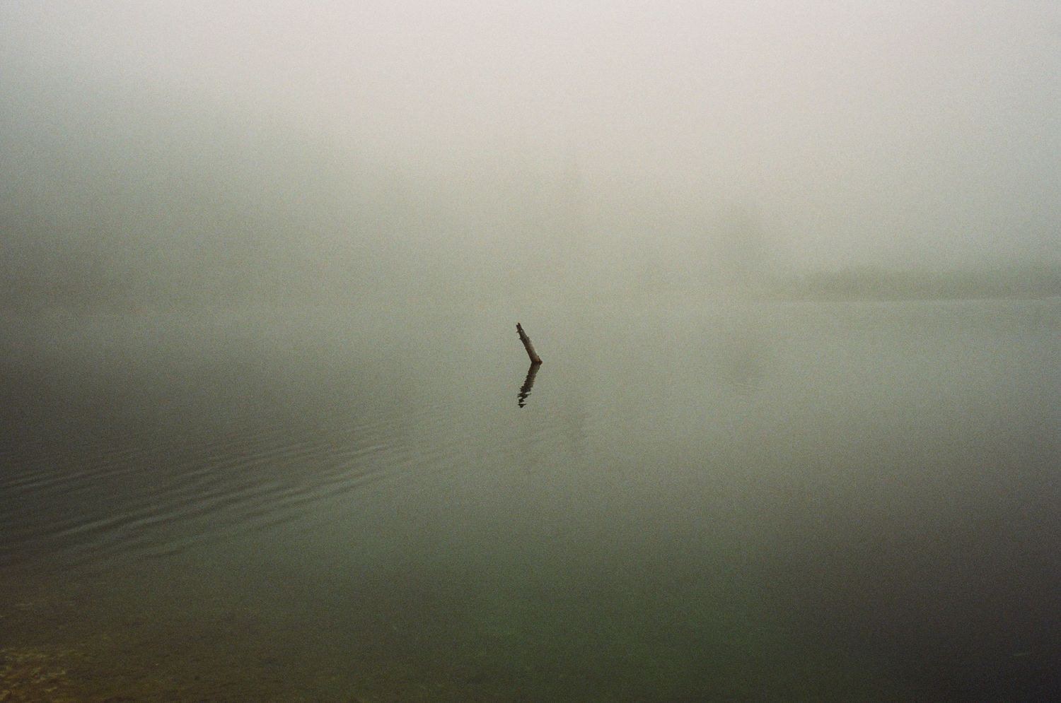 Minimalist landscape of misty gray water with subtle ripples under an overcast sky.