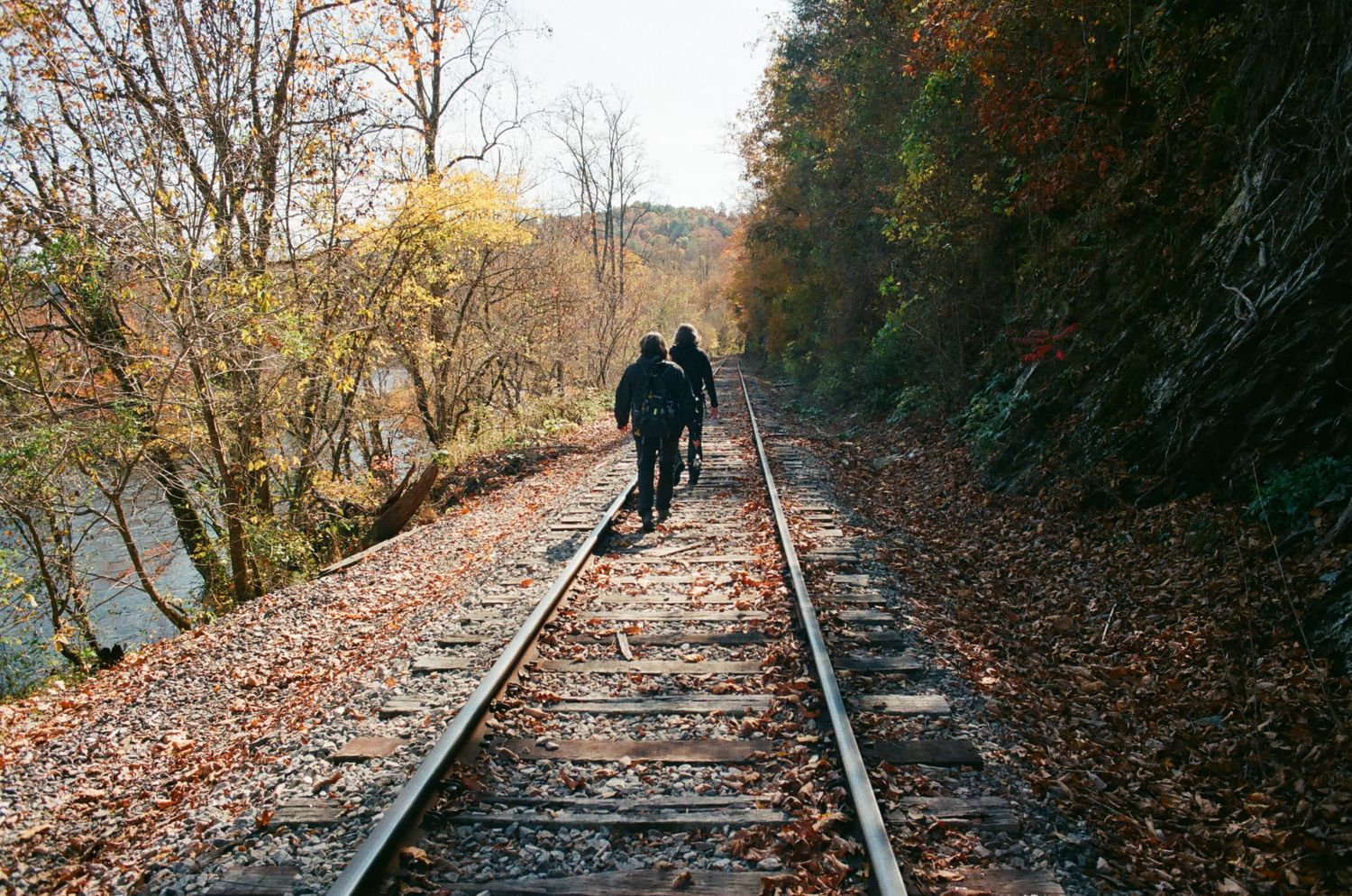 Abandoned railroad tracks covered in fallen autumn leaves through a wooded area.