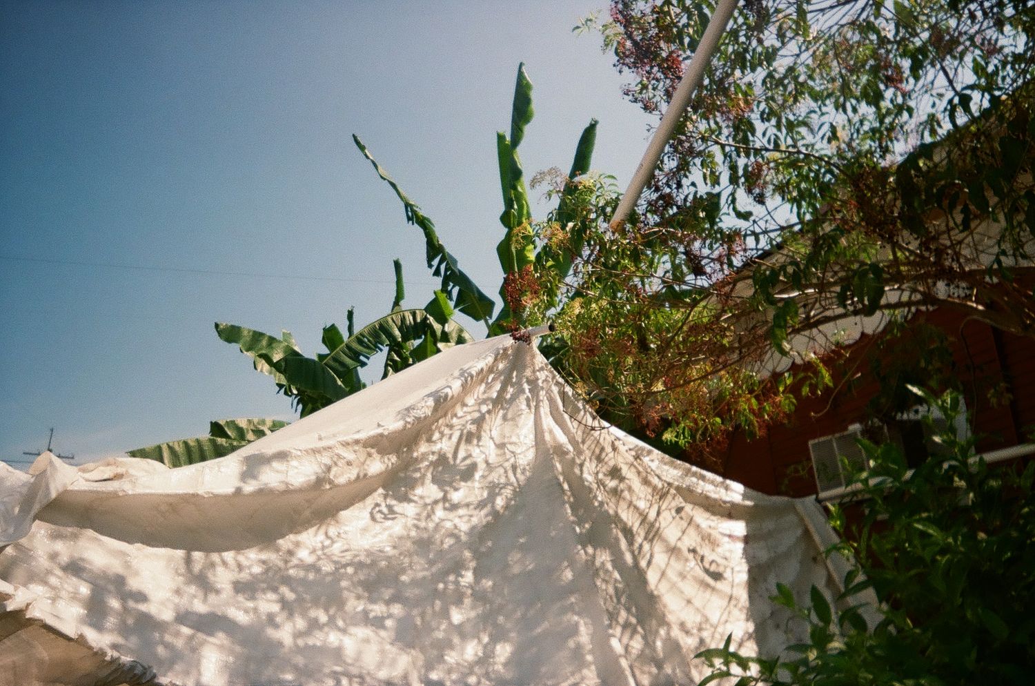 White fabric canopy stretches across a lush garden setting creating an elegant outdoor space.