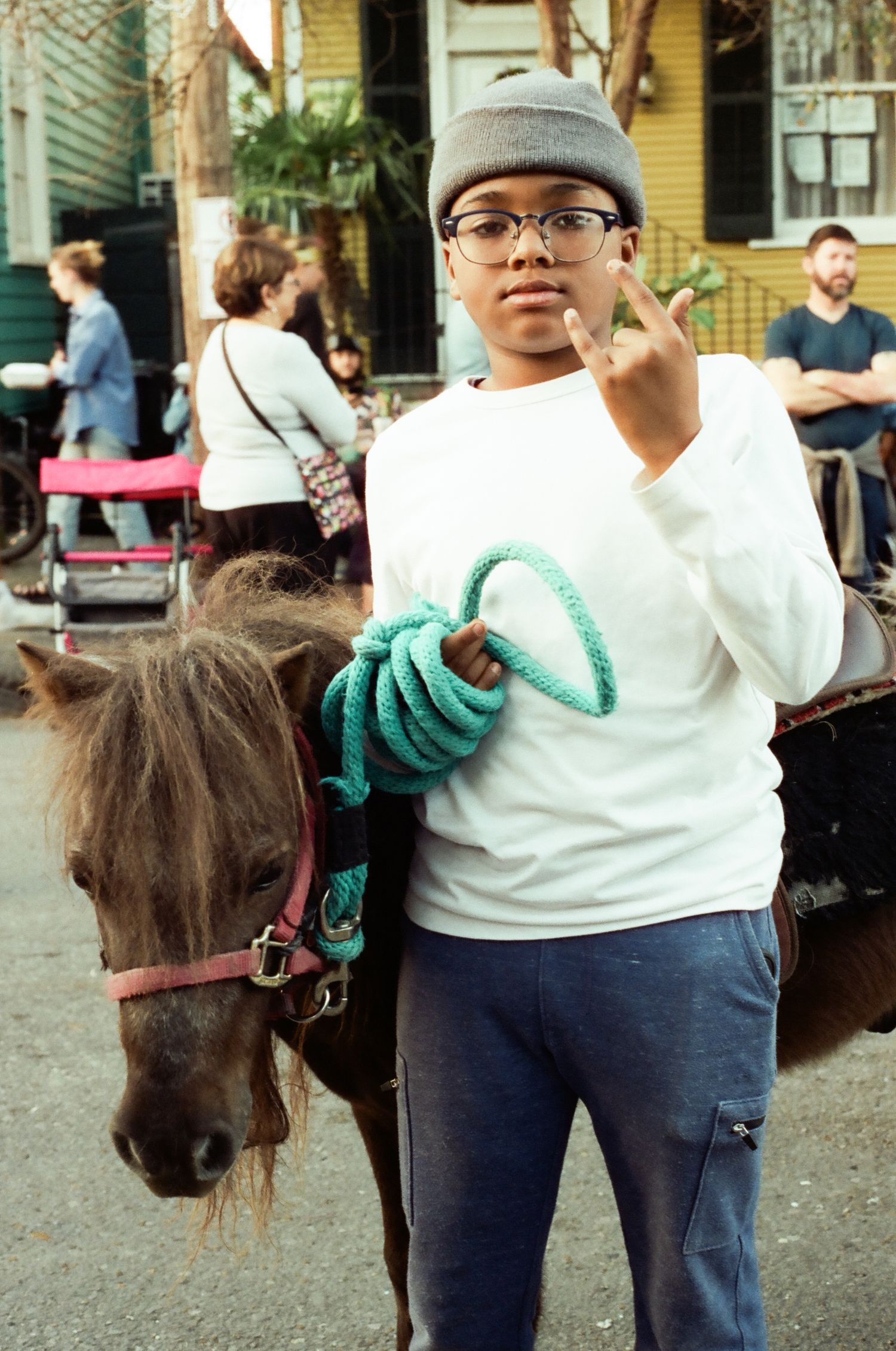 A small pony with dark mane stands in a residential neighborhood.