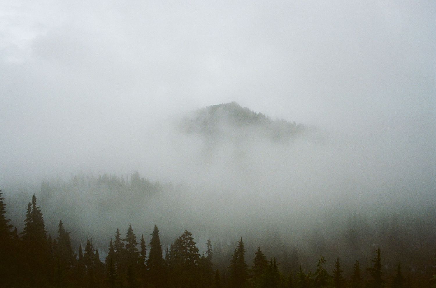 Foggy mountain vista with evergreen forest silhouettes in the distance.