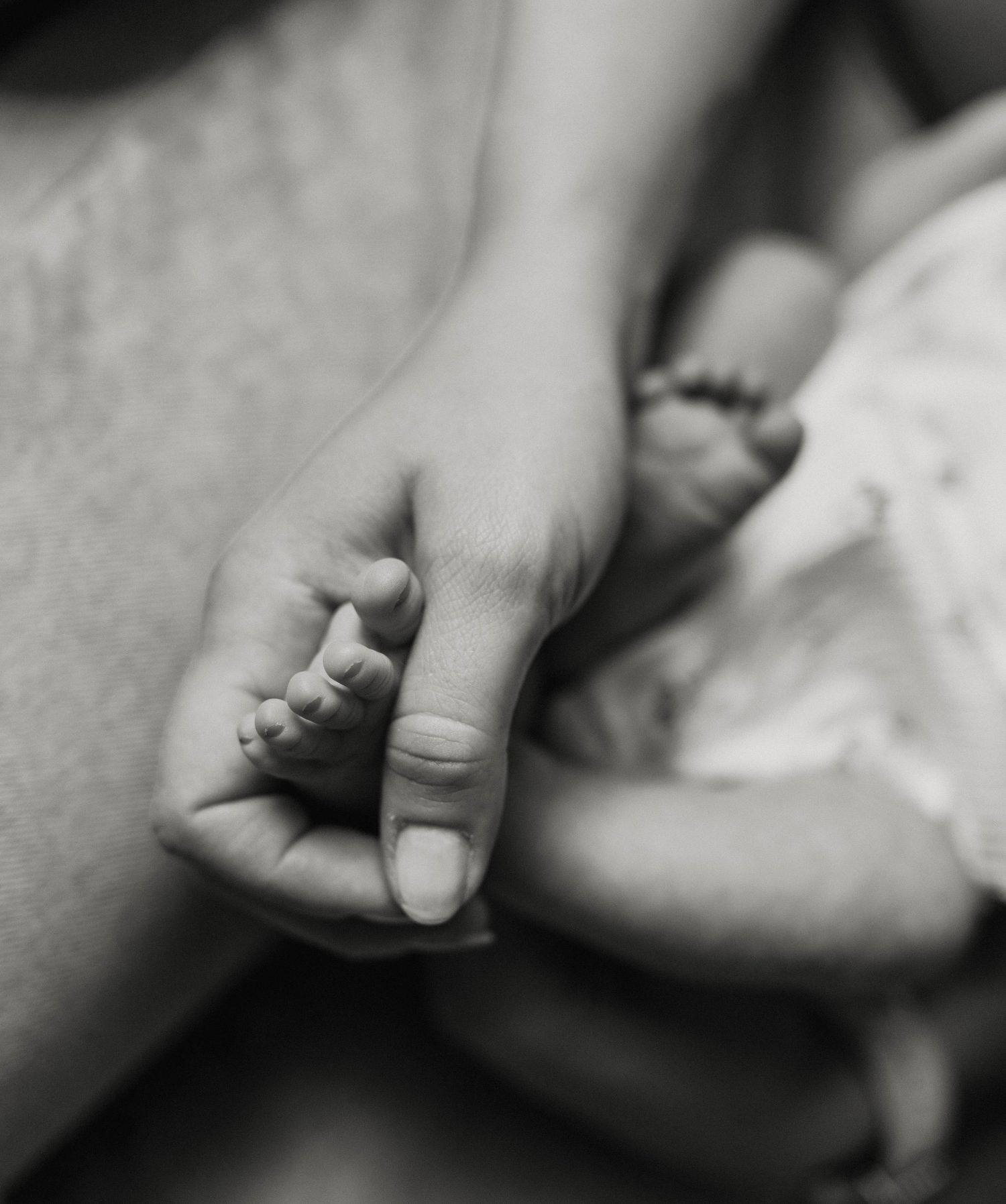 Black and white photo of an adult hand gently holding tiny newborn baby feet, symbolizing love and new parenthood.