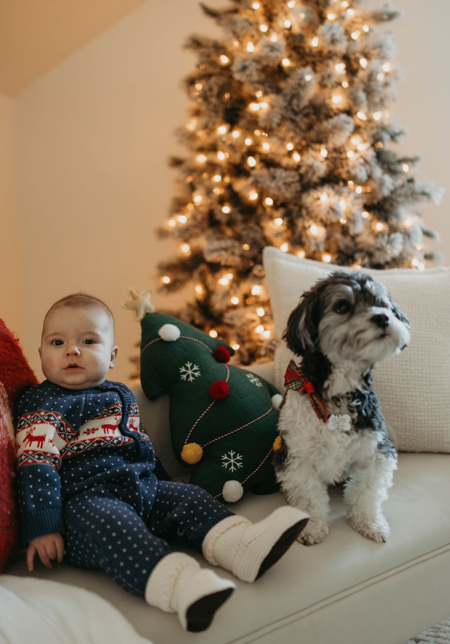 A festive holiday scene with a dog sitting on a white couch by an illuminated Christmas tree and decorative stockings.