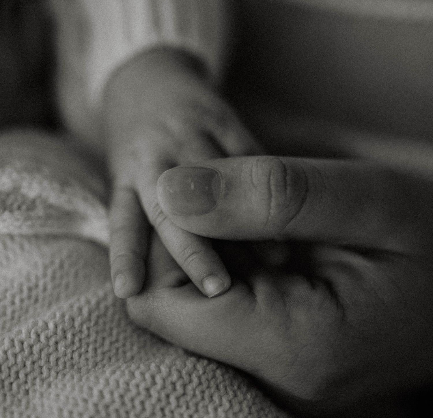 A tender black and white close-up of a baby's tiny hand gently holding an adult's finger.