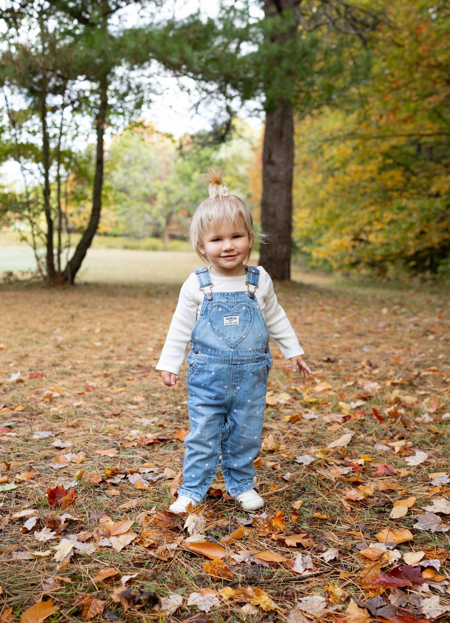 Small child wearing denim overalls plays in fallen autumn leaves on a wooded path during fall season.