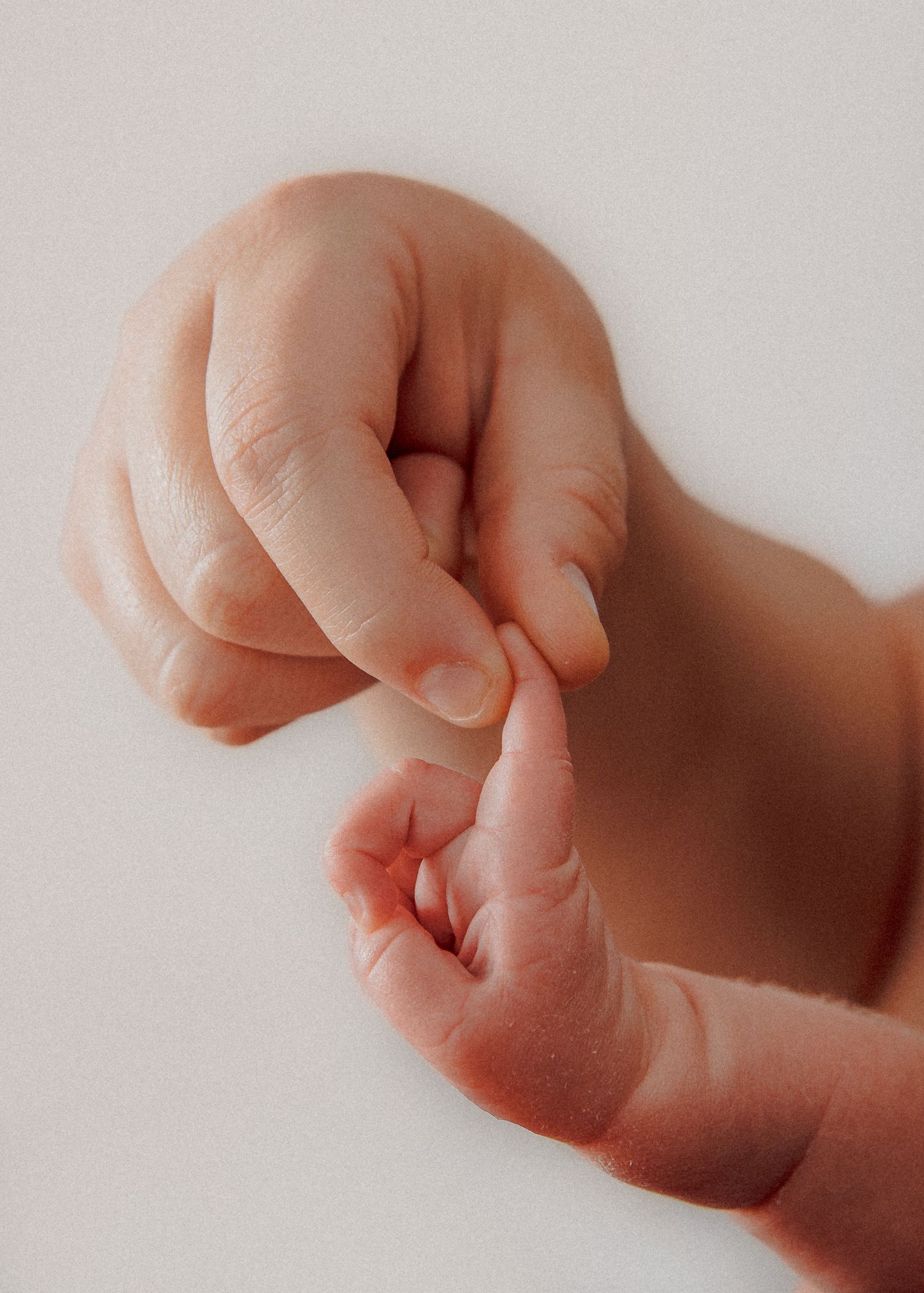 Newborn Photography