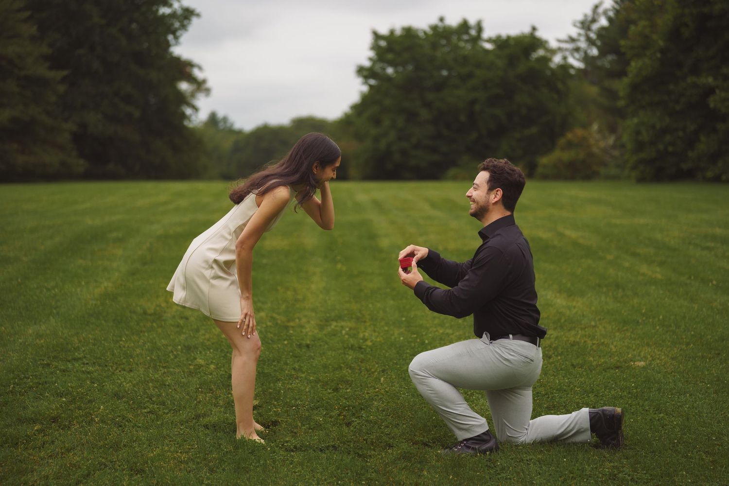 A romantic proposal scene unfolds on a green lawn with trees in the background on an overcast day.