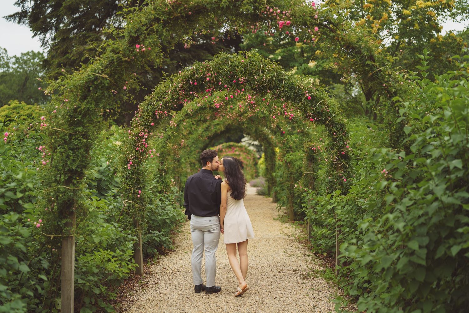 A couple walks through a romantic garden archway covered in climbing roses and vines on a gravel path.