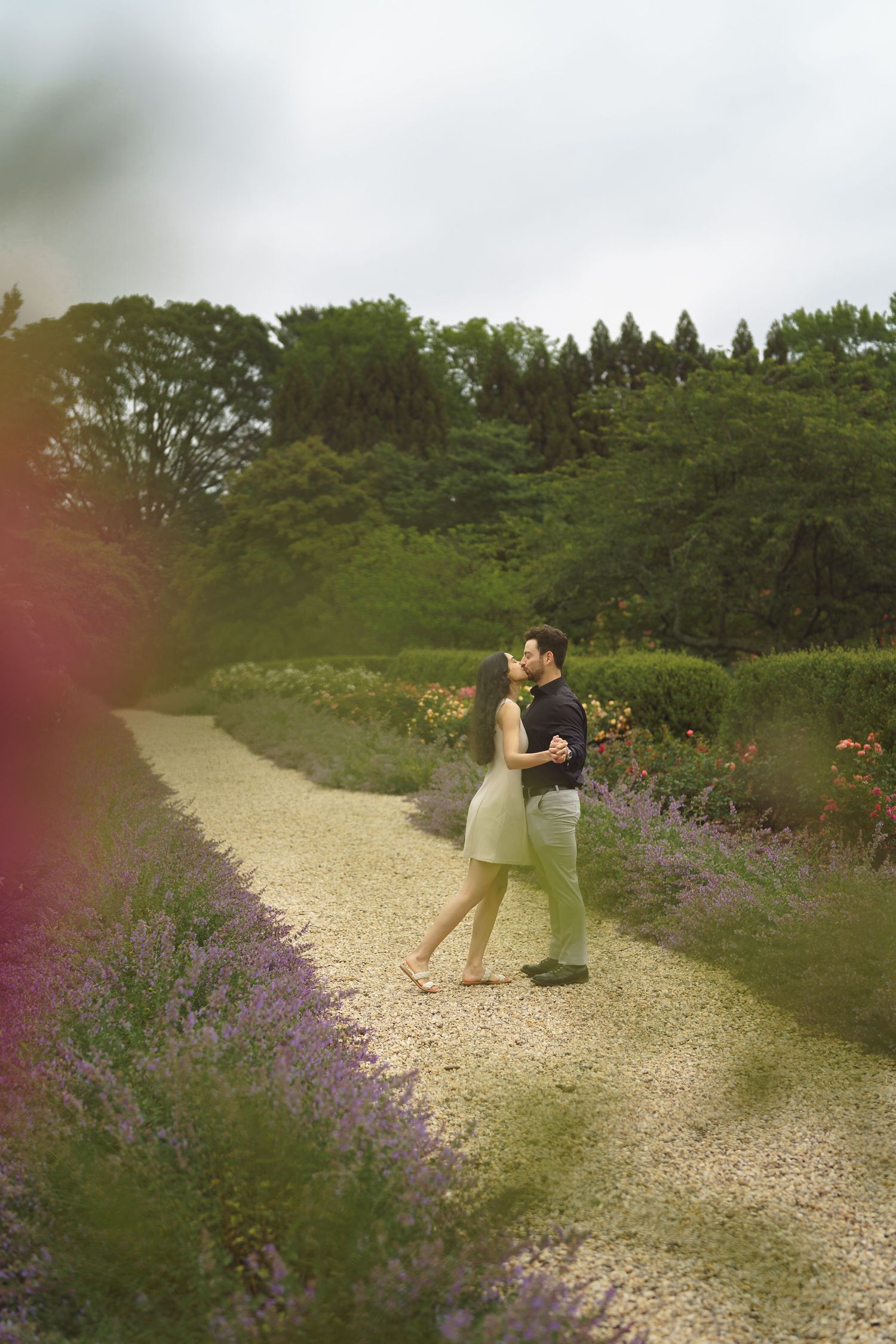 A couple walks along a scenic gravel path bordered by vibrant purple wildflowers and green foliage.