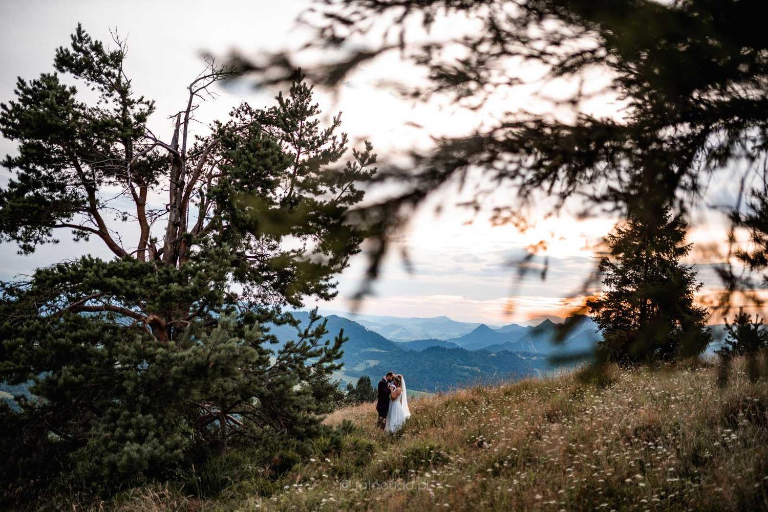 Scenic mountain landscape photo series showing evergreen forests and hillsides at sunset with distant peaks in background.