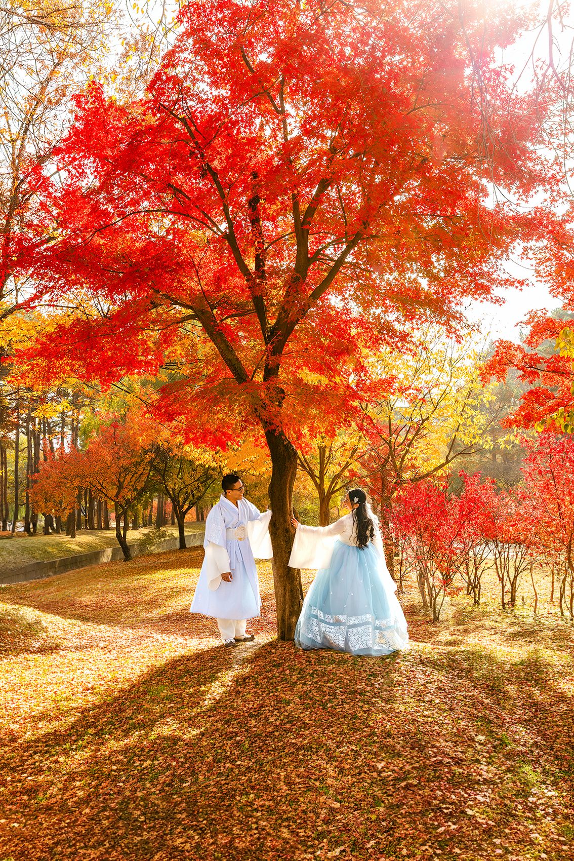 Couple in traditional Korean hanbok attire posing under vibrant red maple trees in an autumn forest park.