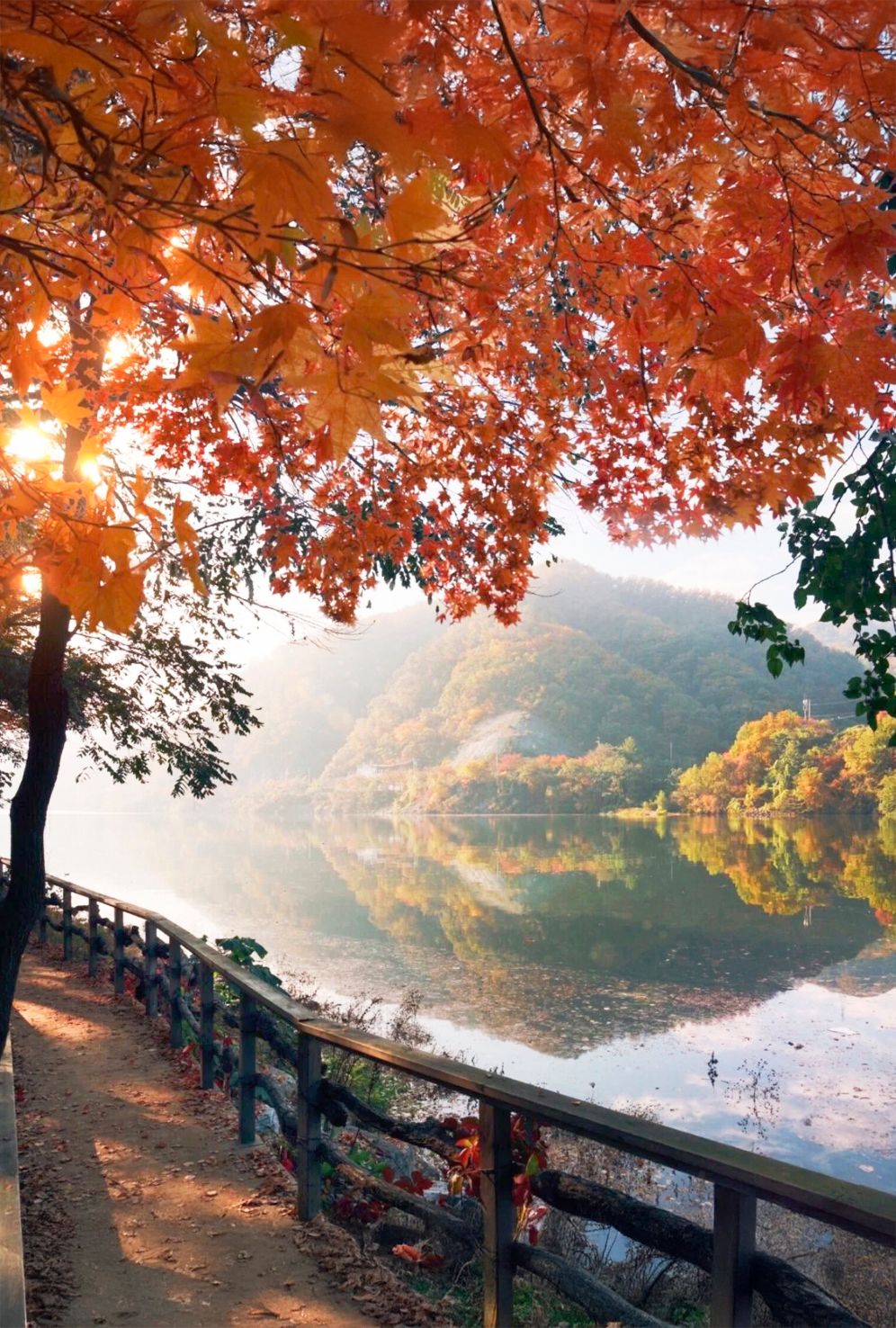Beautiful autumn scene with red maple leaves framing a serene lake view and walking path during golden sunset. Seoul, Proposal Session