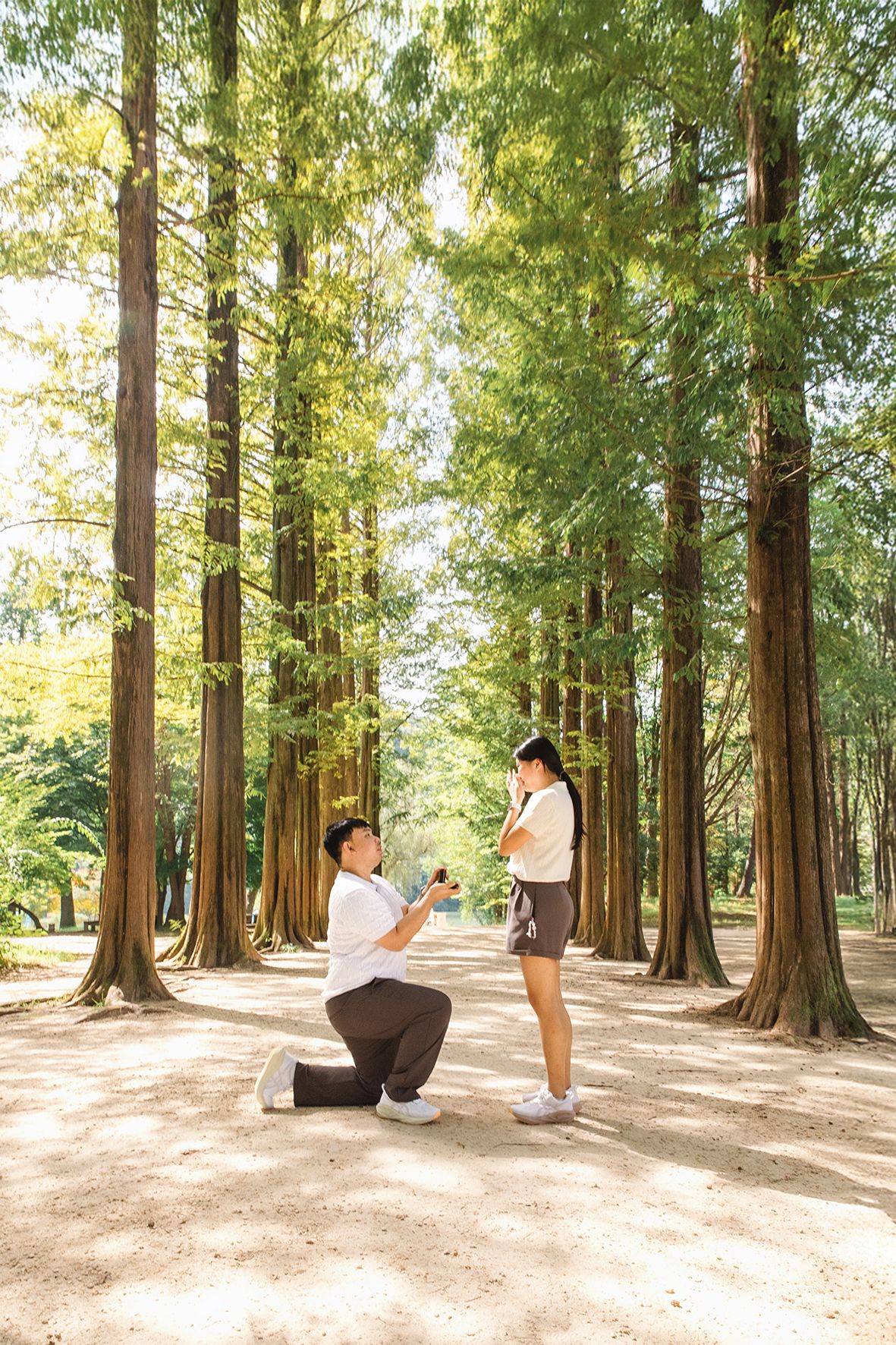 A series of photos showing a proposal moment in a serene redwood forest with sunlight filtering through tall trees.