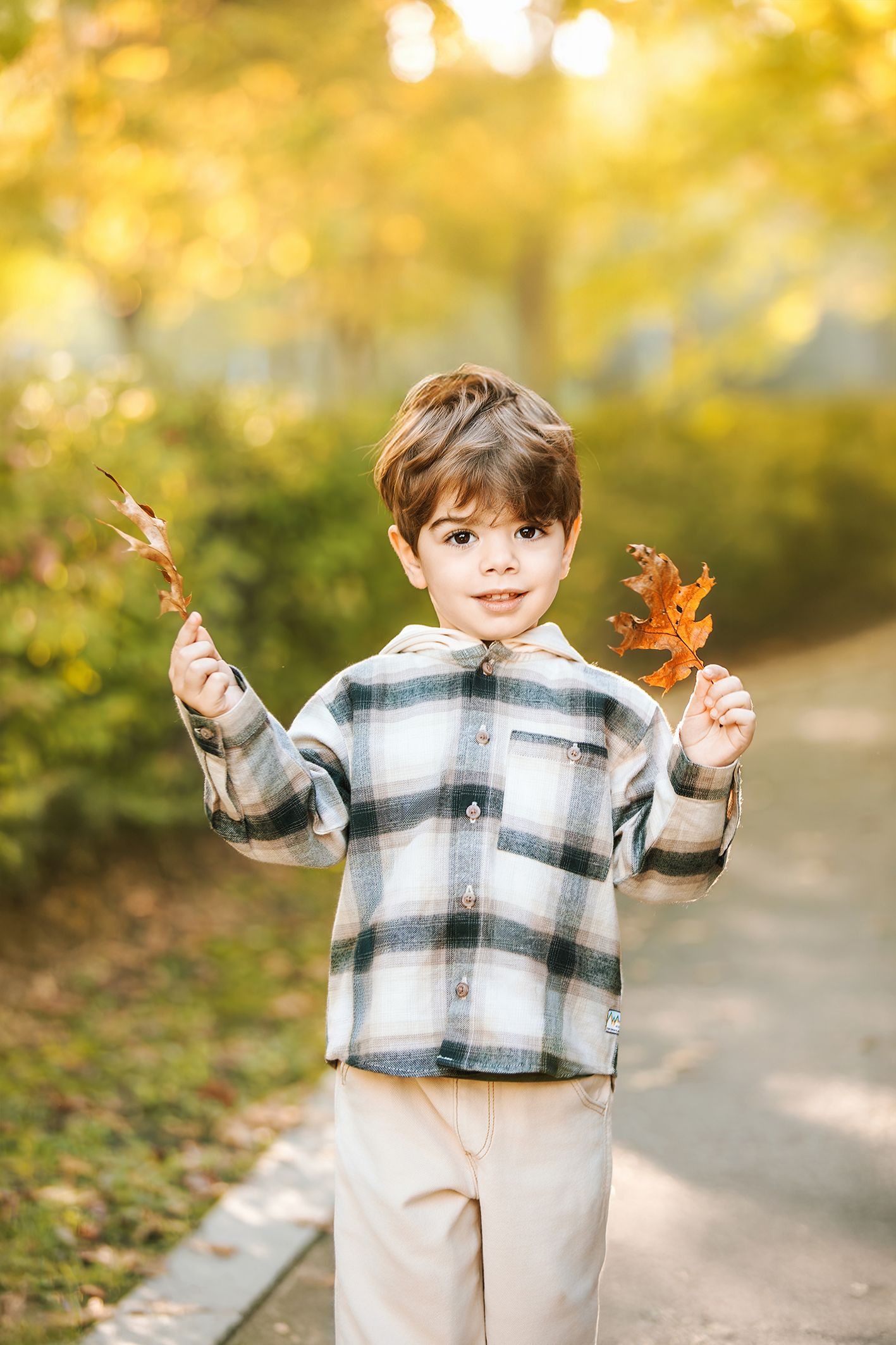 Young boy in plaid shirt holding autumn leaves in a sunny park during fall season.