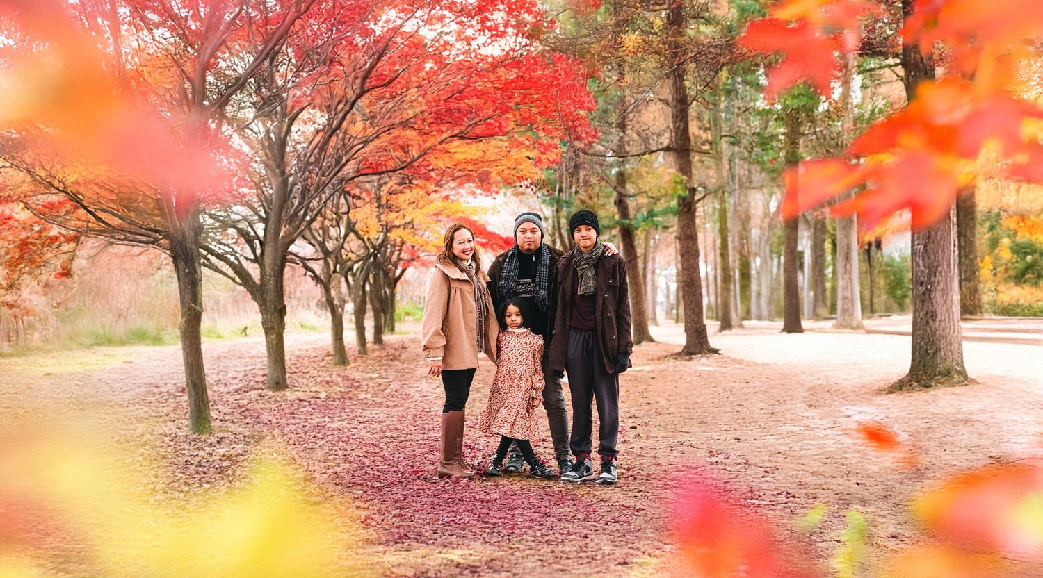 A scenic collage of autumn trees with vibrant red and orange foliage in a peaceful park setting.