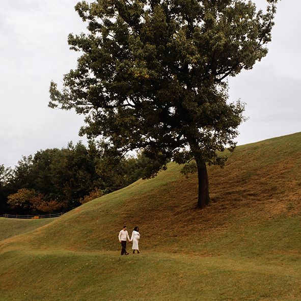 Five connected images show a tree on a grassy hillside from different angles as two figures walk up the slope.