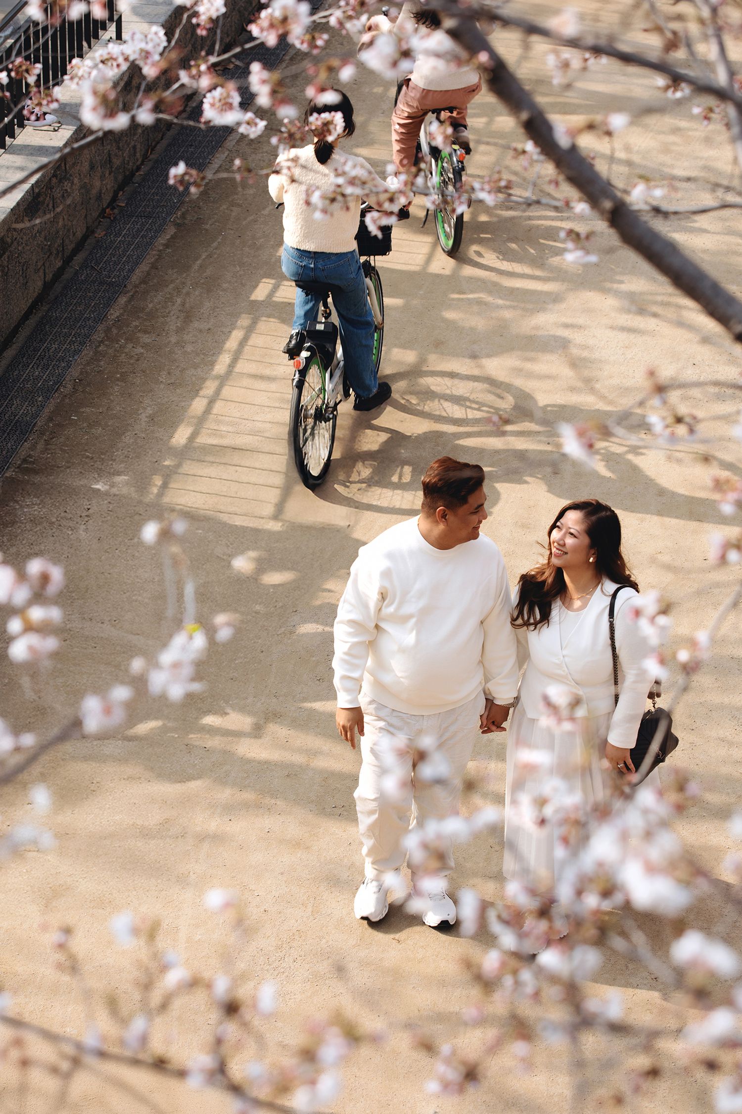 A couple walks hand in hand along a path beneath blooming cherry blossoms while a cyclist rides nearby.
