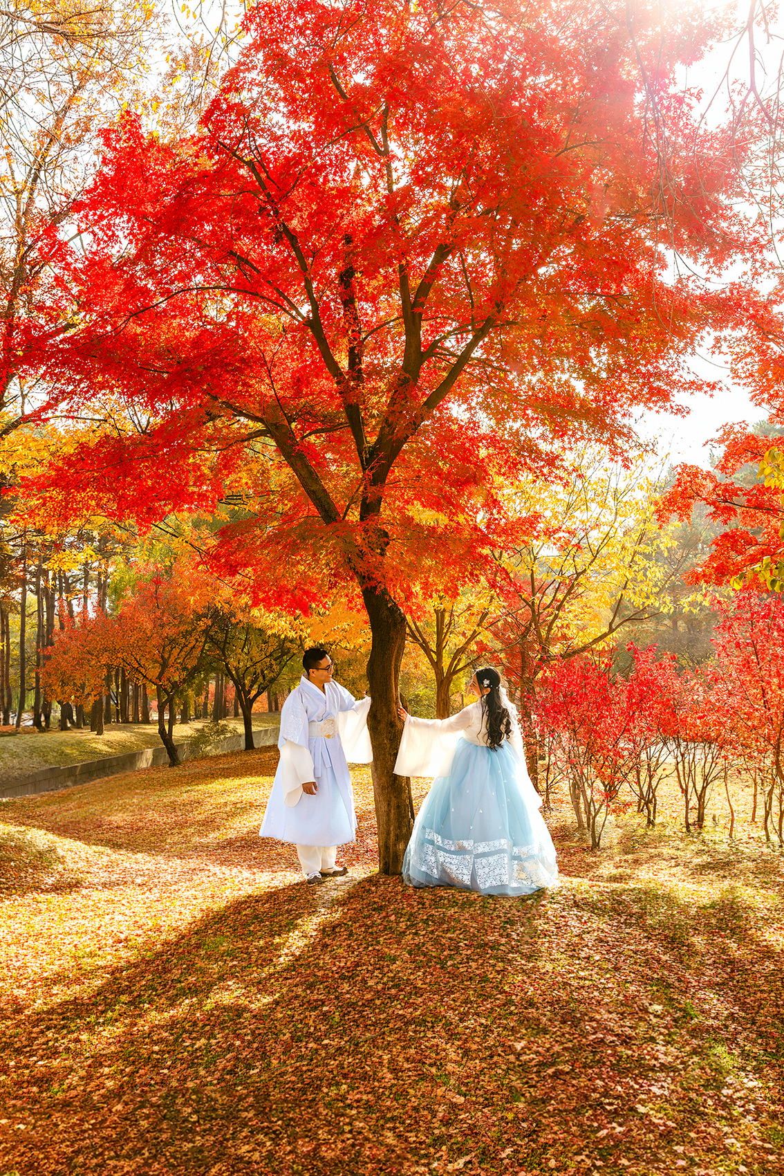 Couple in traditional Korean hanbok attire posing under a vibrant red maple tree during autumn fall season.