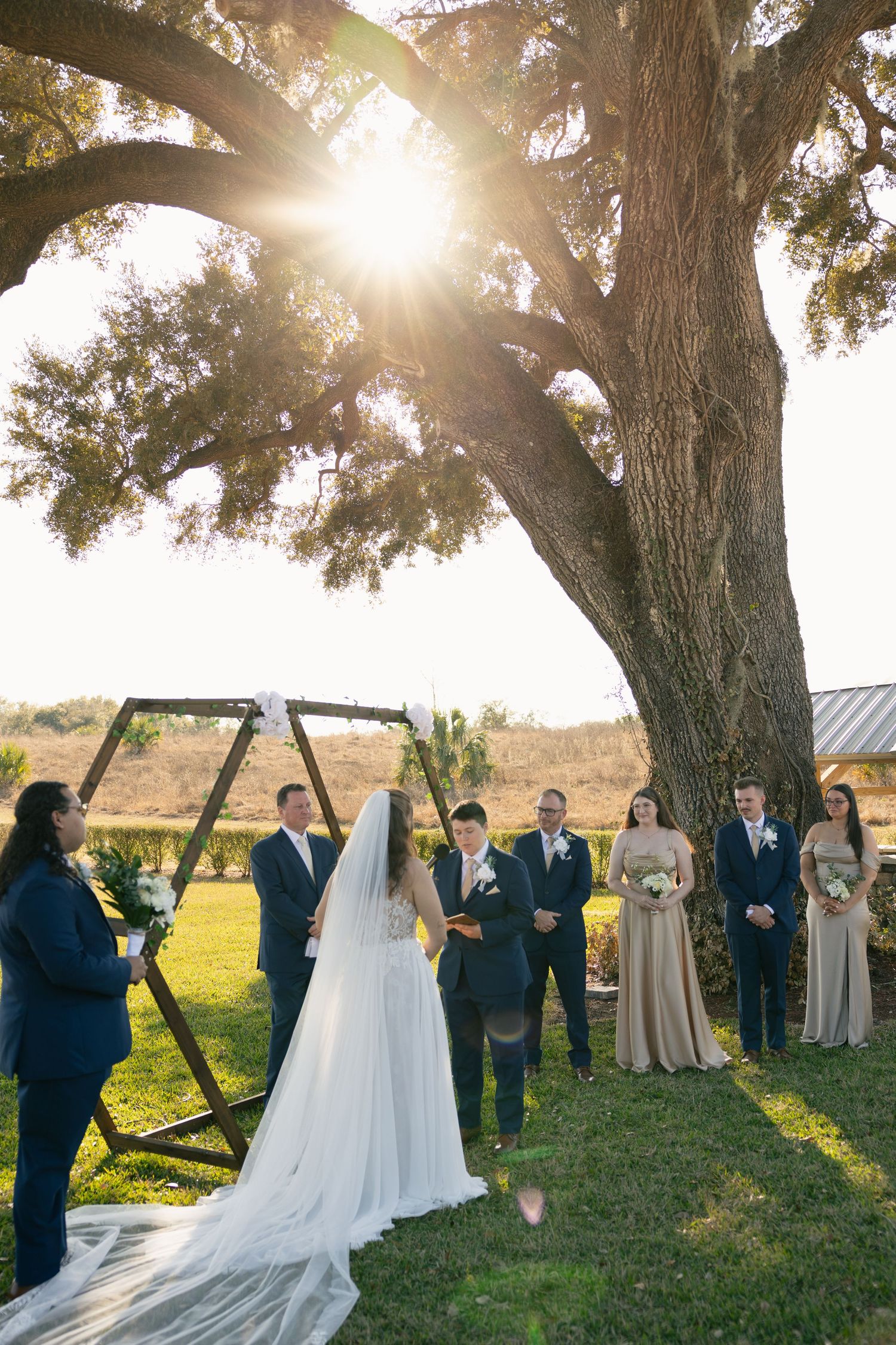 Outdoor wedding ceremony under a large tree with sunlight streaming through branches as attendees gather on grassy lawn.