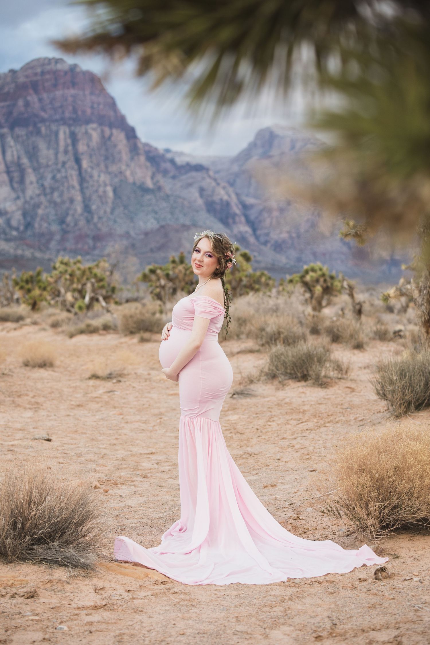 Elegant maternity portrait showing a flowing pink gown against dramatic desert mountains.
