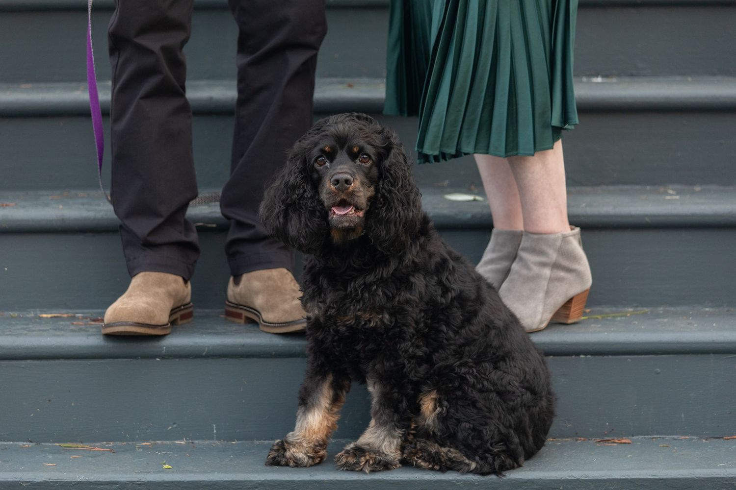 A couple's feet and their black dog are shown on gray stone steps during an outdoor photo session.