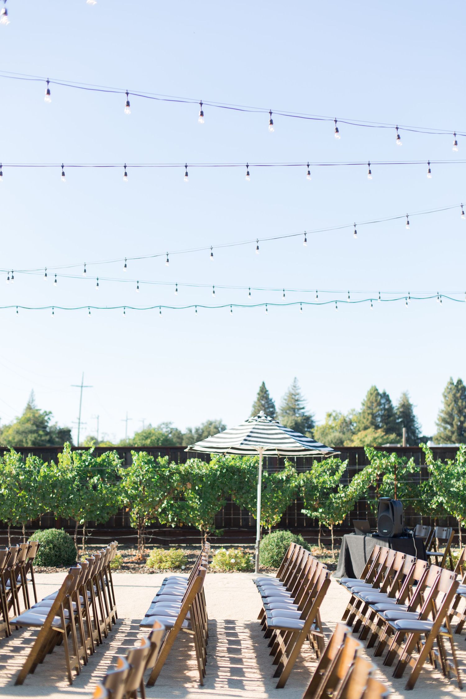 Outdoor wedding ceremony setup with wooden chairs and string lights against a vineyard backdrop.
