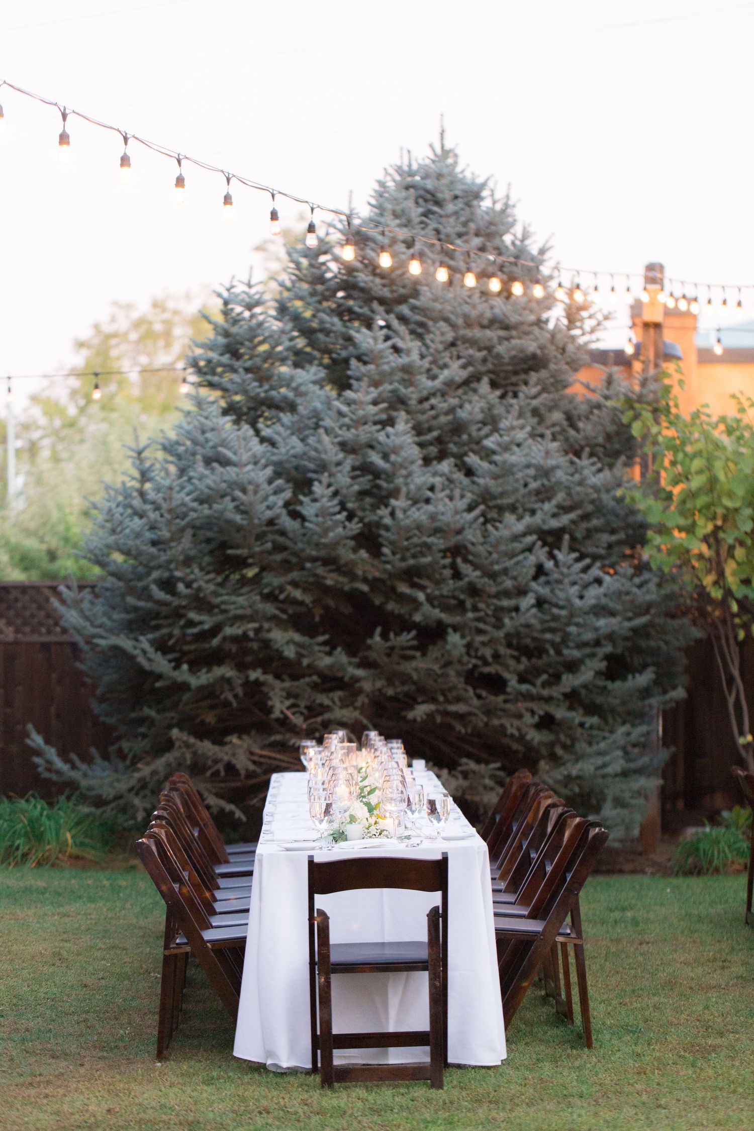Long wedding dining table set beneath string lights and large evergreen tree.