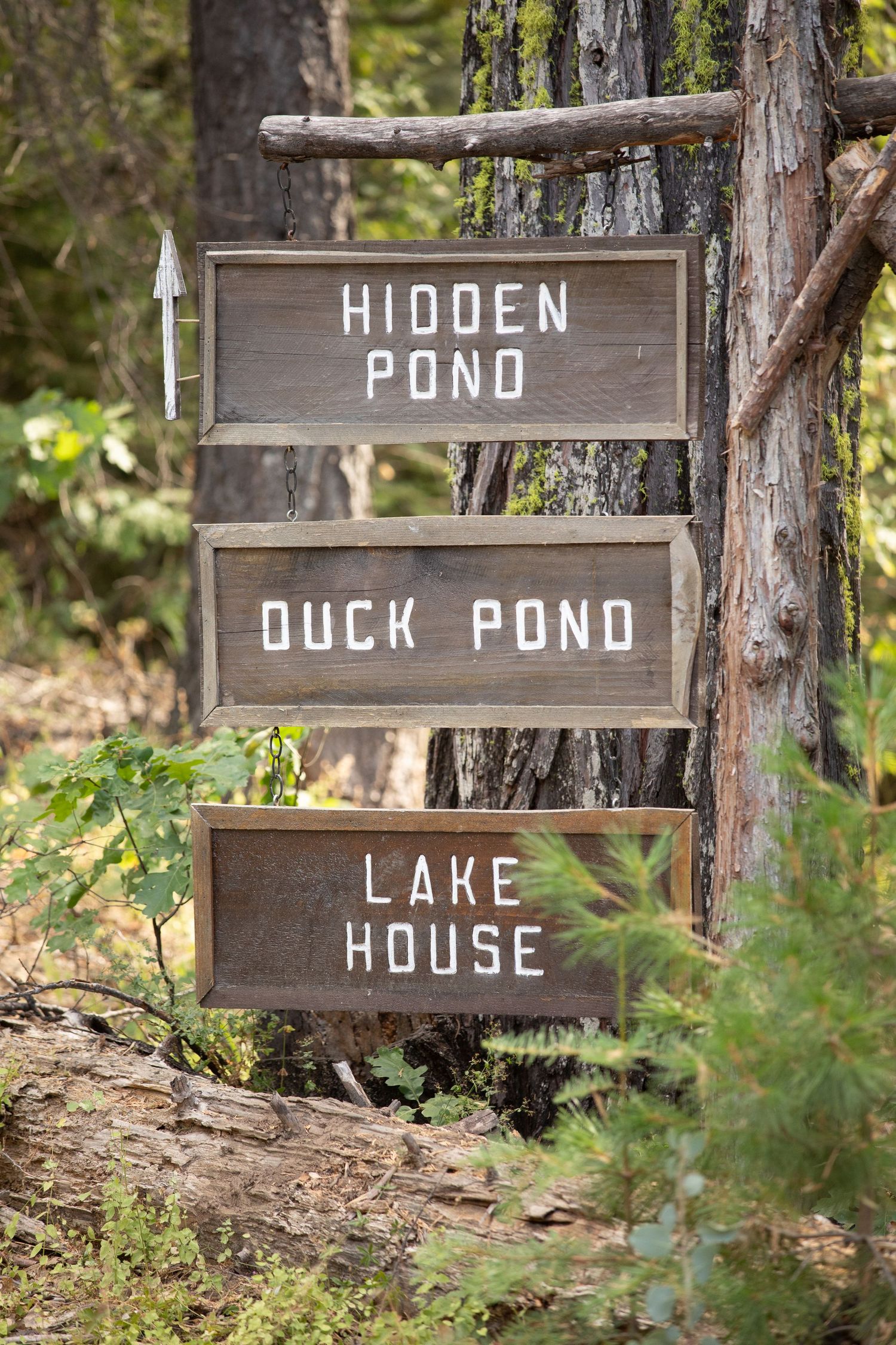 Rustic wooden directional signs in a forest point to Hidden Pond, Duck Pond, and Lake House locations.