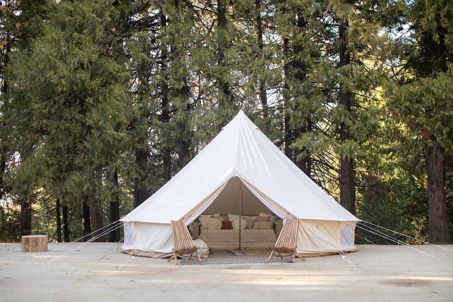 White glamping tents set up in a serene forest clearing.