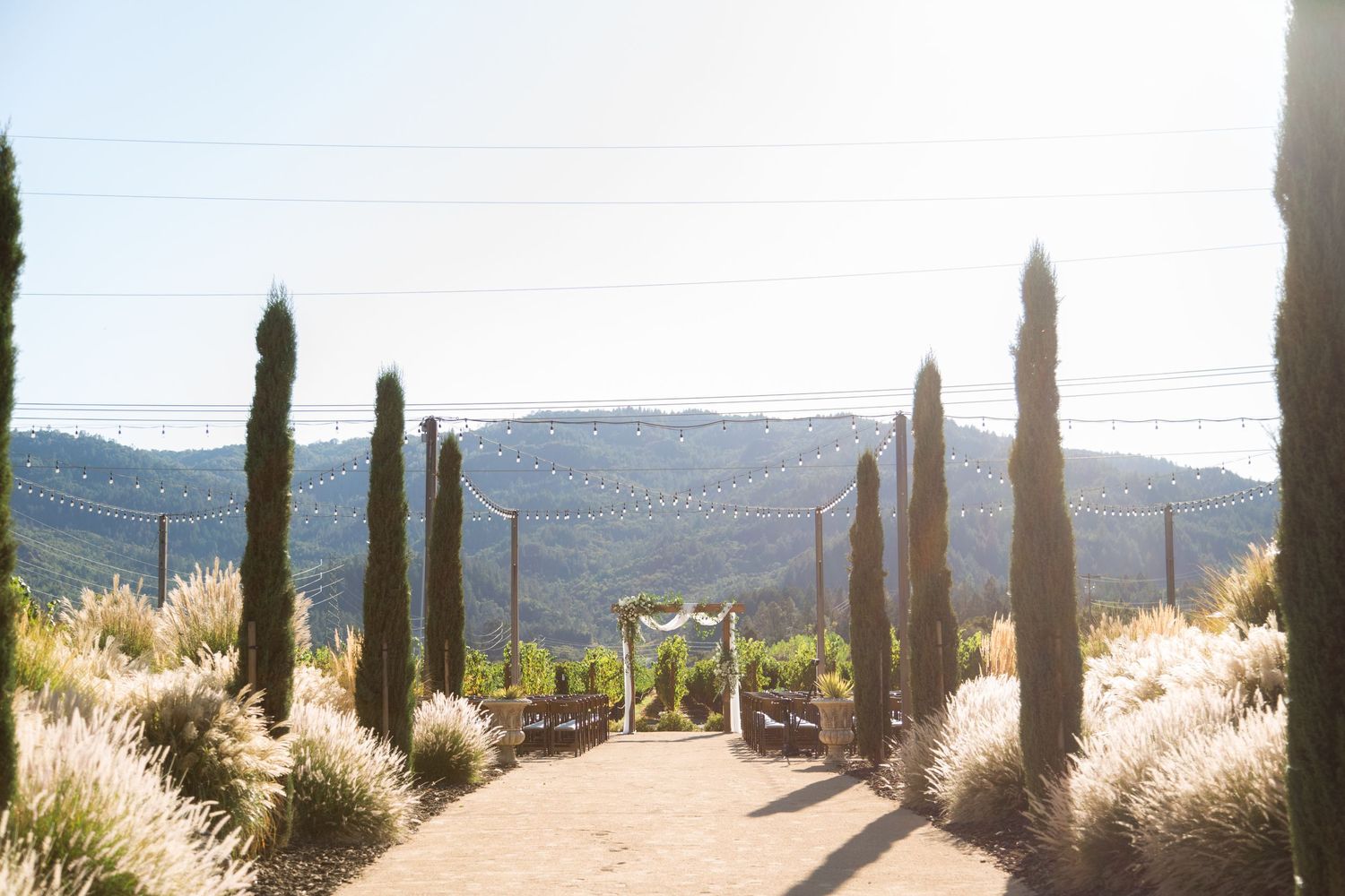 Cypress tree-lined pathway leading to a scenic mountain view at a wedding venue.