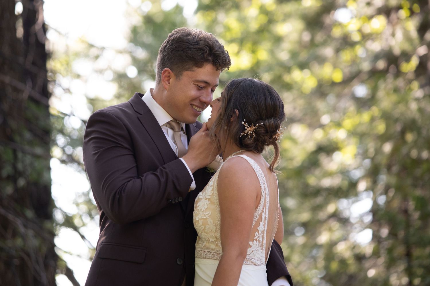 Intimate wedding moment captured between tall redwood trees in filtered sunlight.