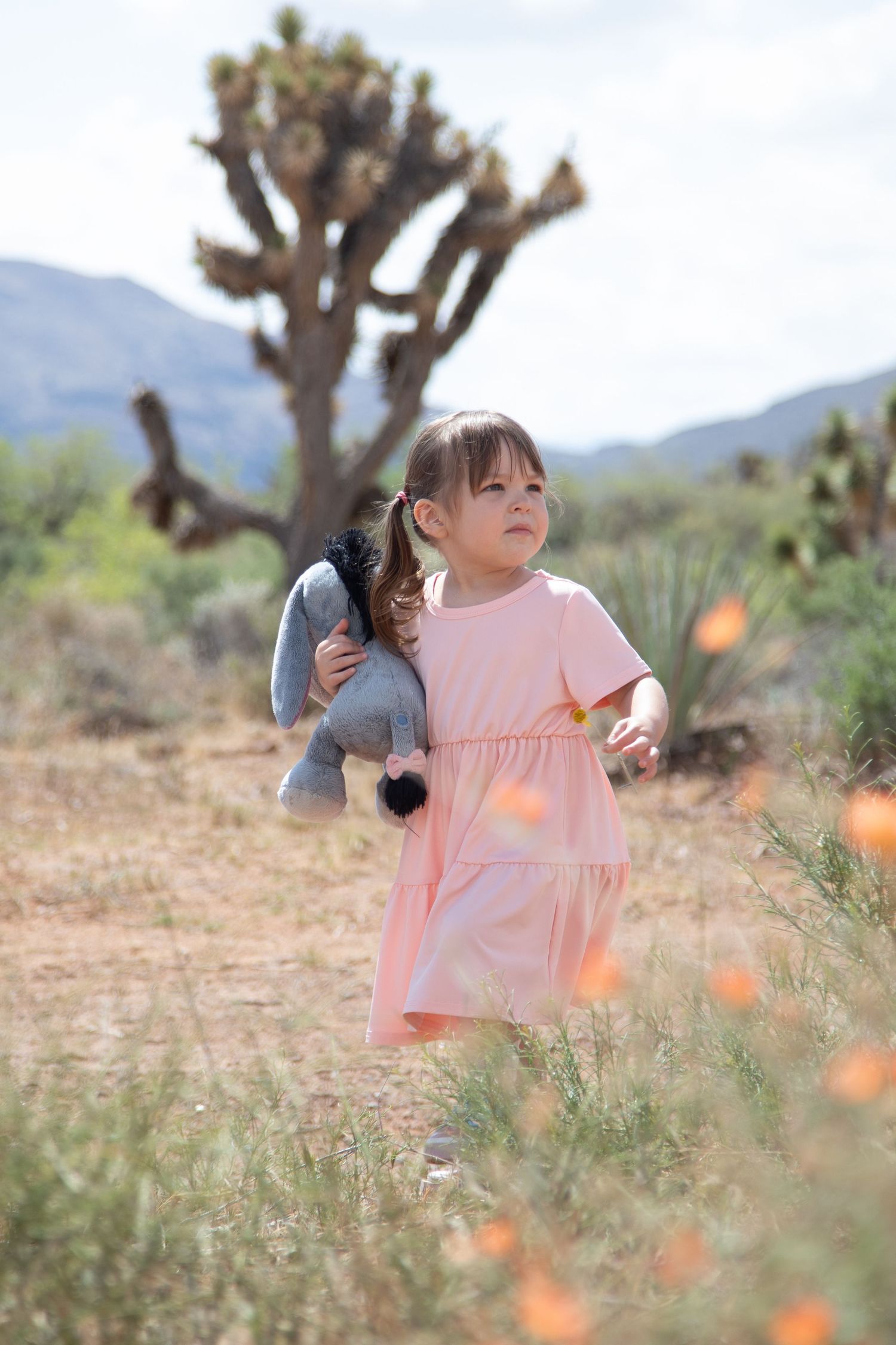 Young girl in pink dress carries stuffed animal through desert wildflower field with joshua tree backdrop.