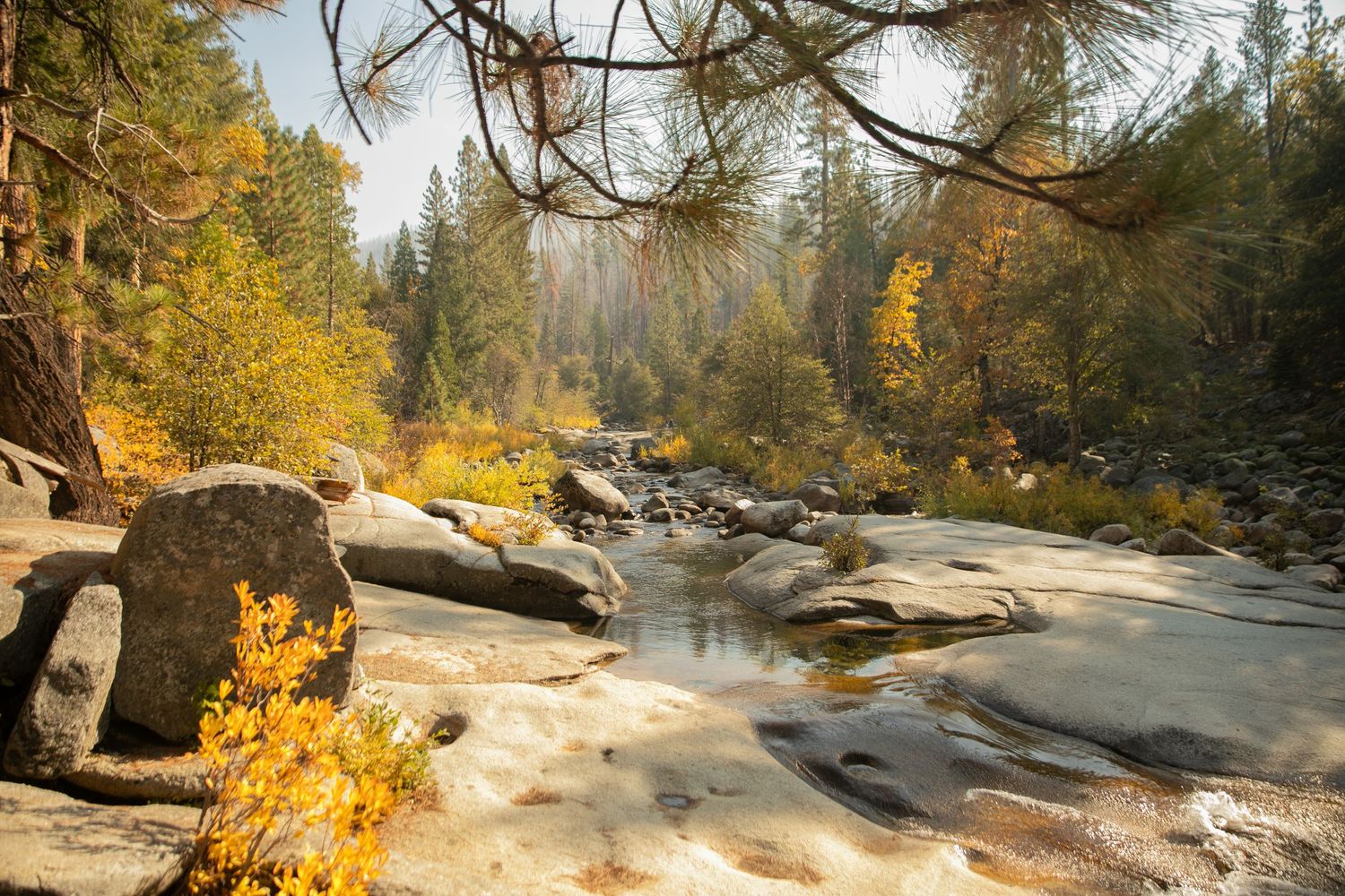 Scenic autumn river landscape with golden foliage and flowing water.